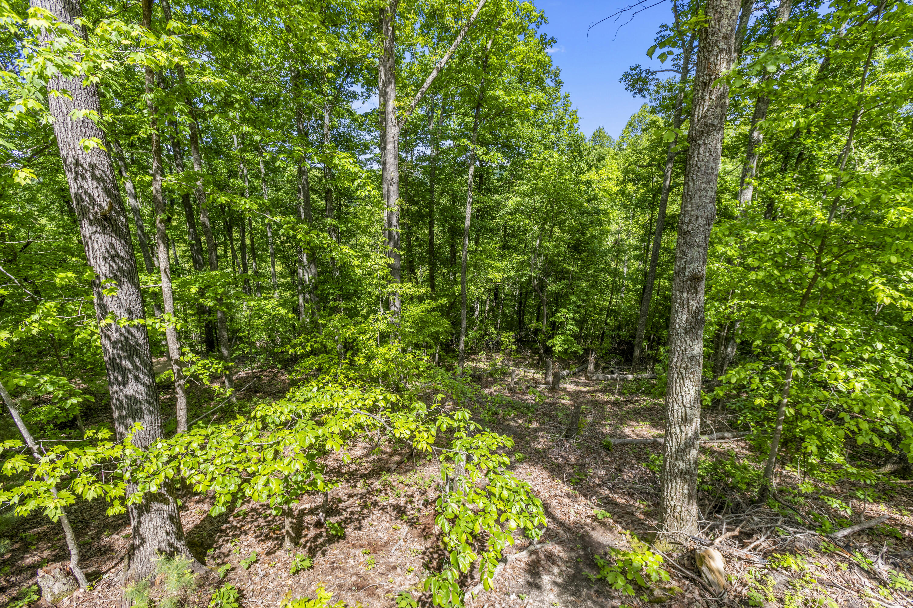 1237b High Rock Road Property Photo 22