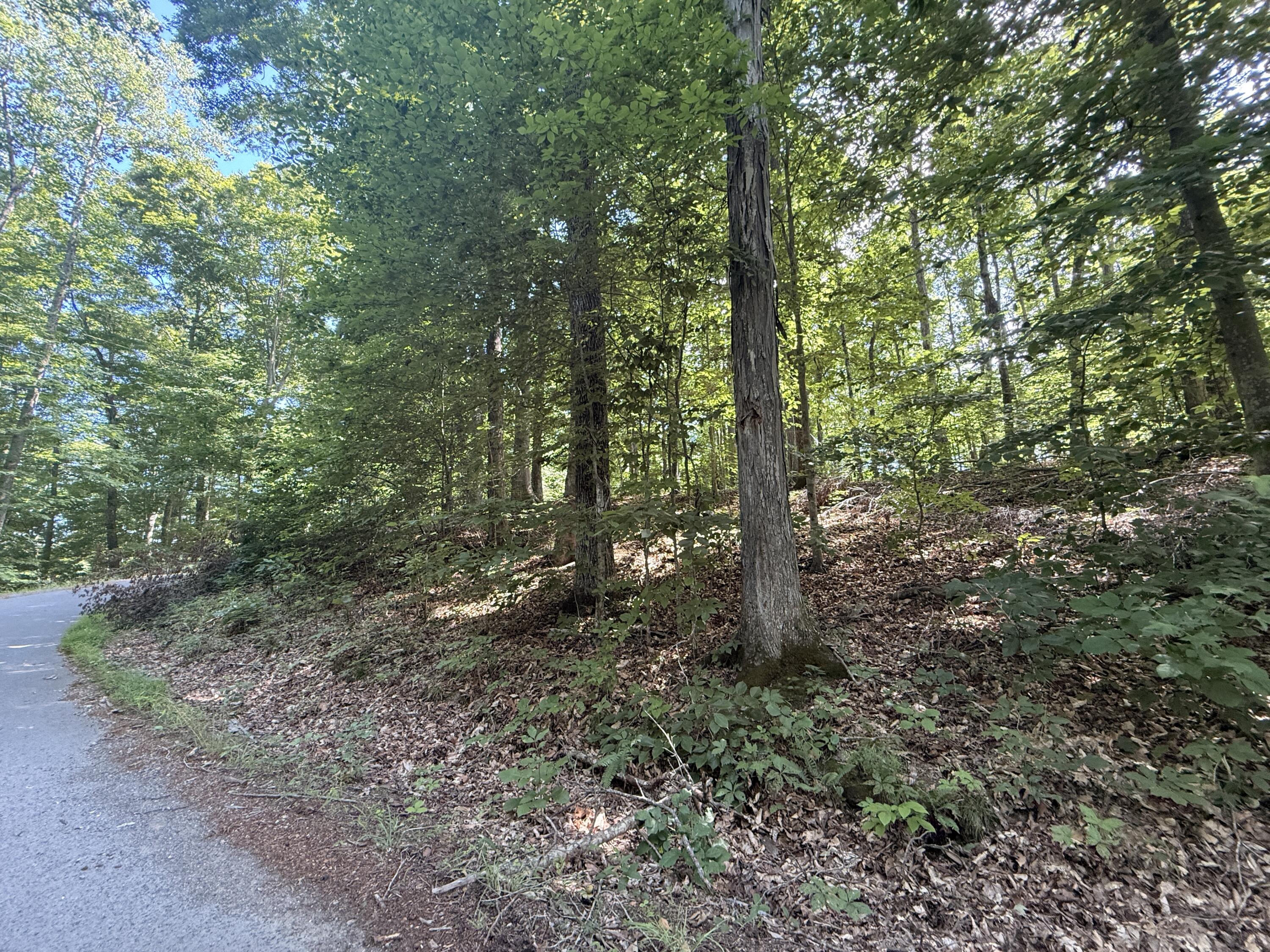 Lot 27 Timber Ridge Road Property Photo 6