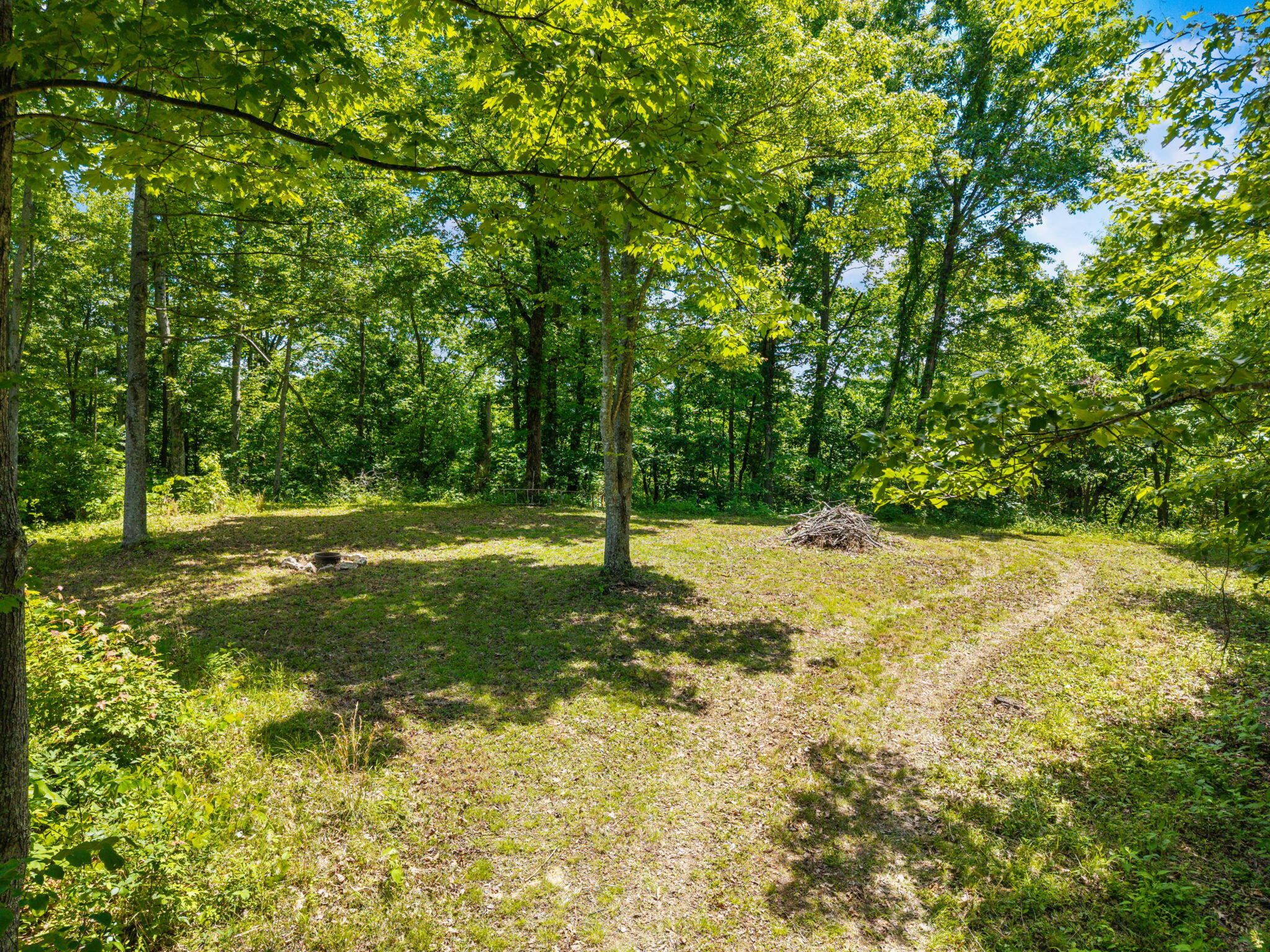 500 Fox Hunters Knob Road Property Photo 6