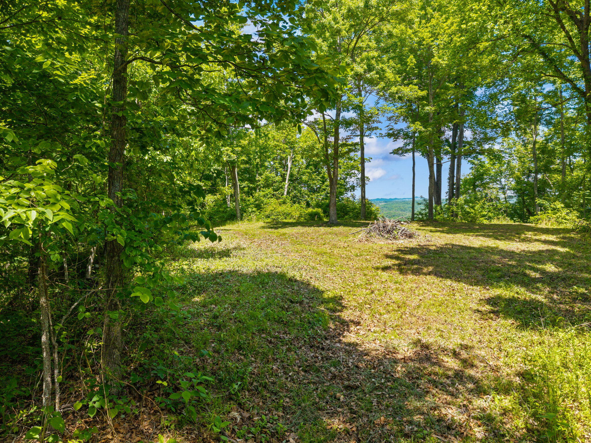 500 Fox Hunters Knob Road Property Photo 7