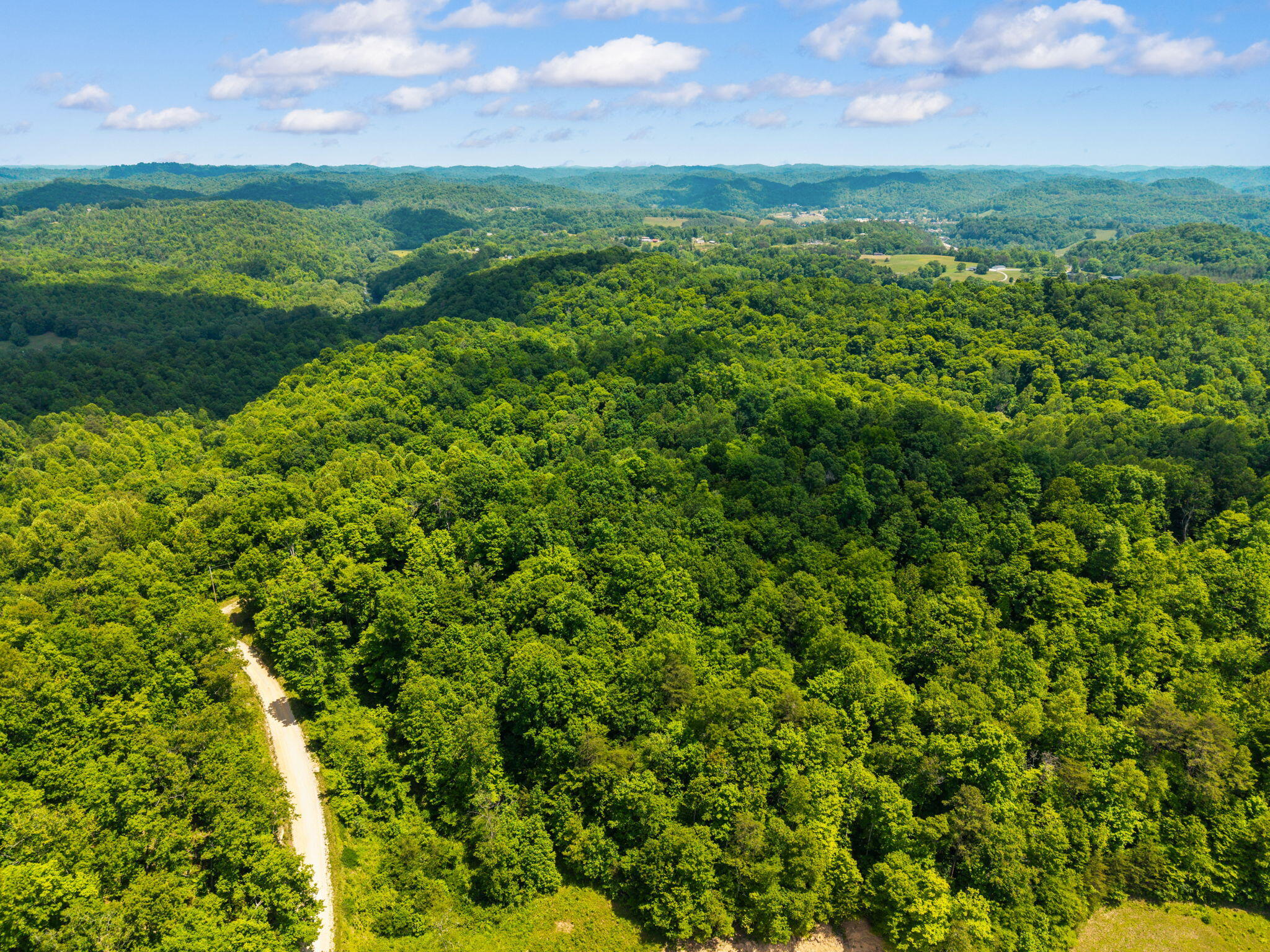 500 Fox Hunters Knob Road Property Photo 19
