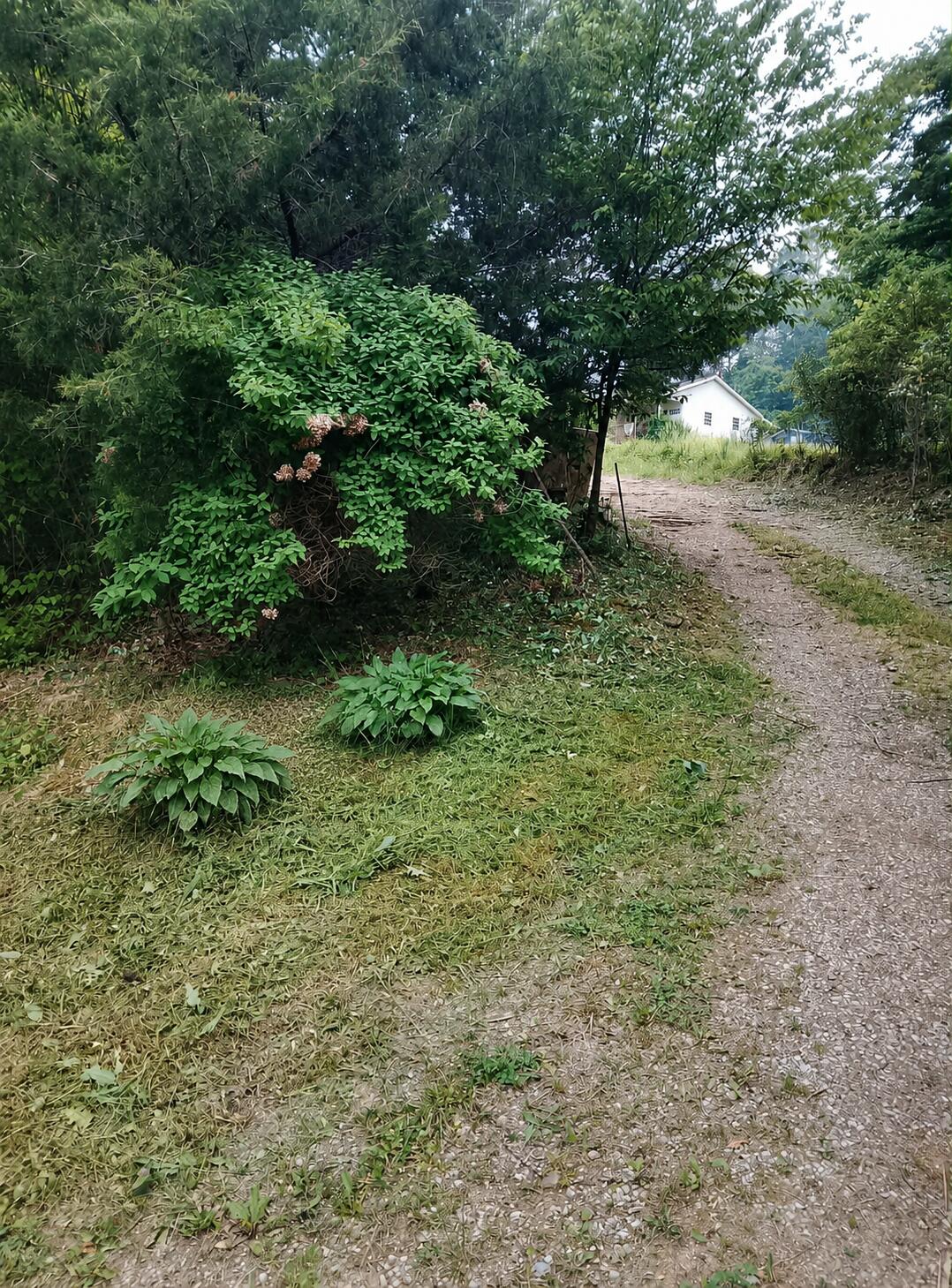 1605 Tiny Branch Road Property Photo 2