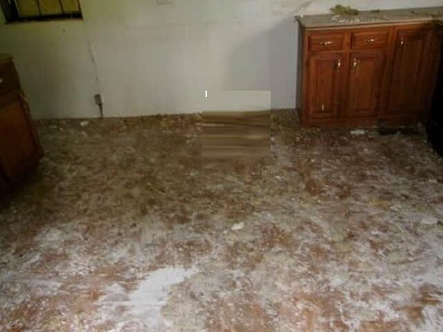 1646 Cedgap Road Property Photo 5