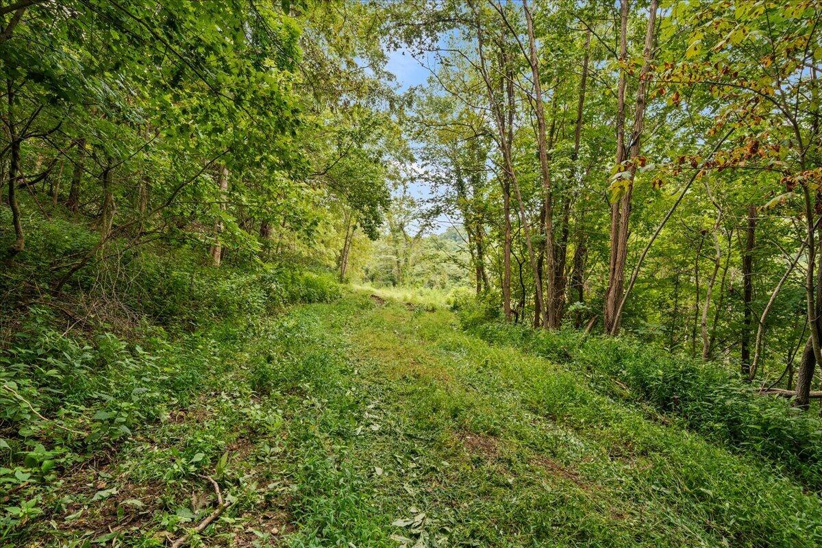 3300 Mary Ingles Highway Property Photo 33