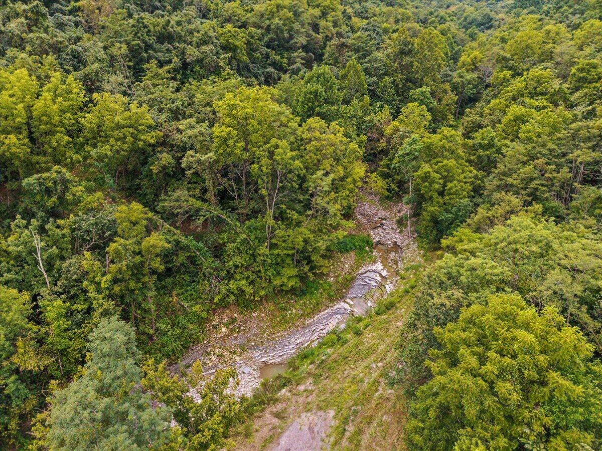 3300 Mary Ingles Highway Property Photo 37