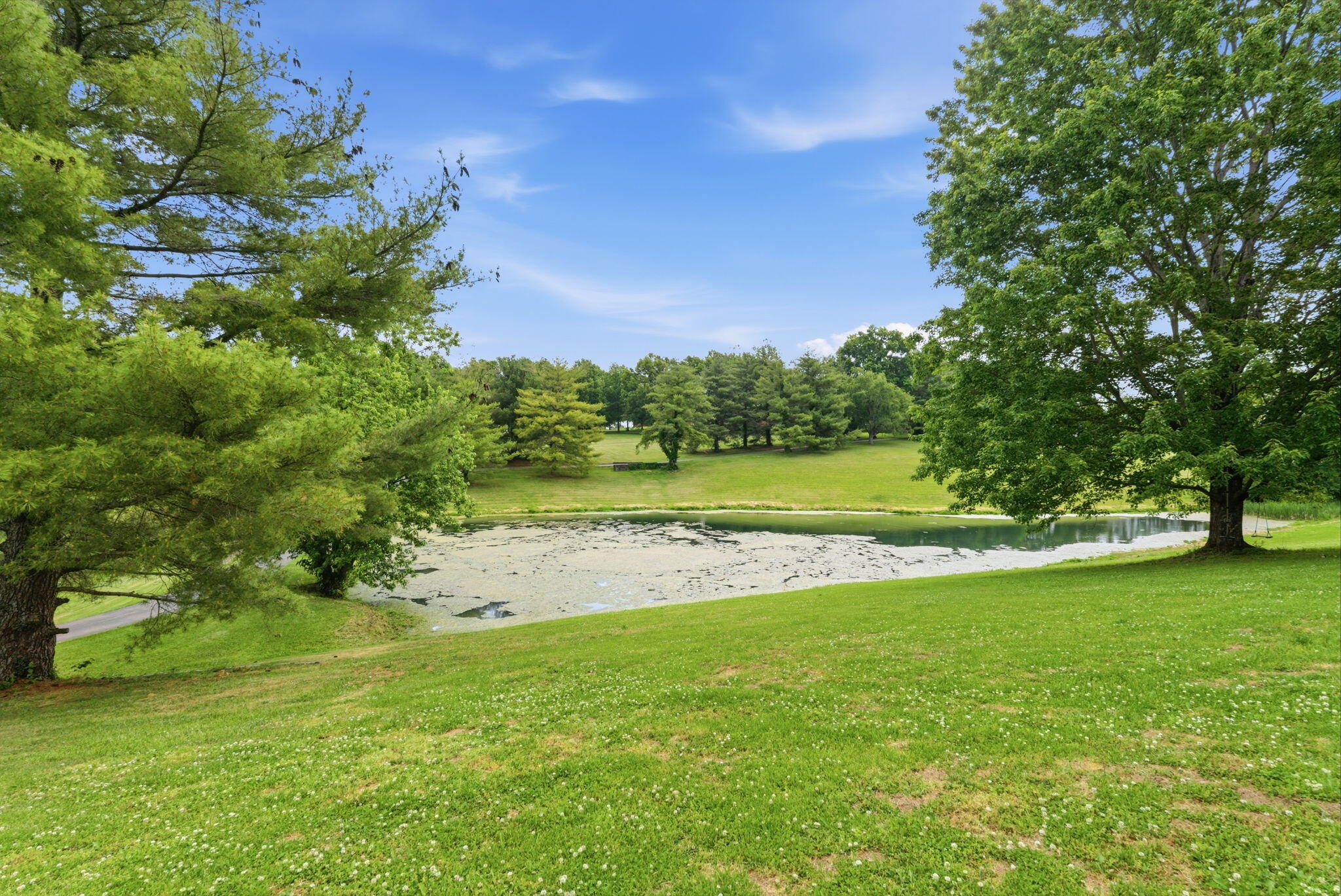 385 Old Paris Pike Property Photo 8