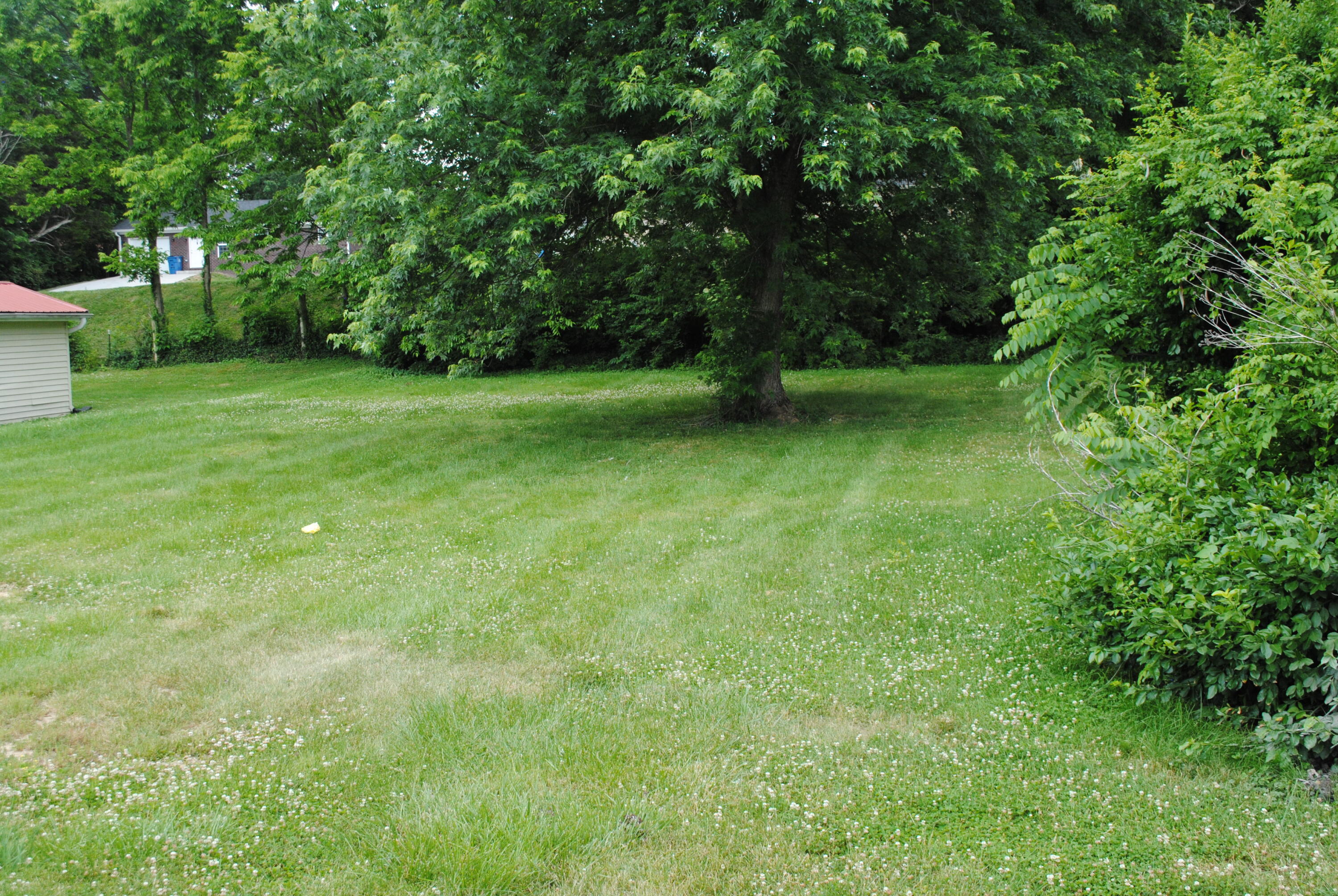 309 Baughman Avenue Property Photo 7