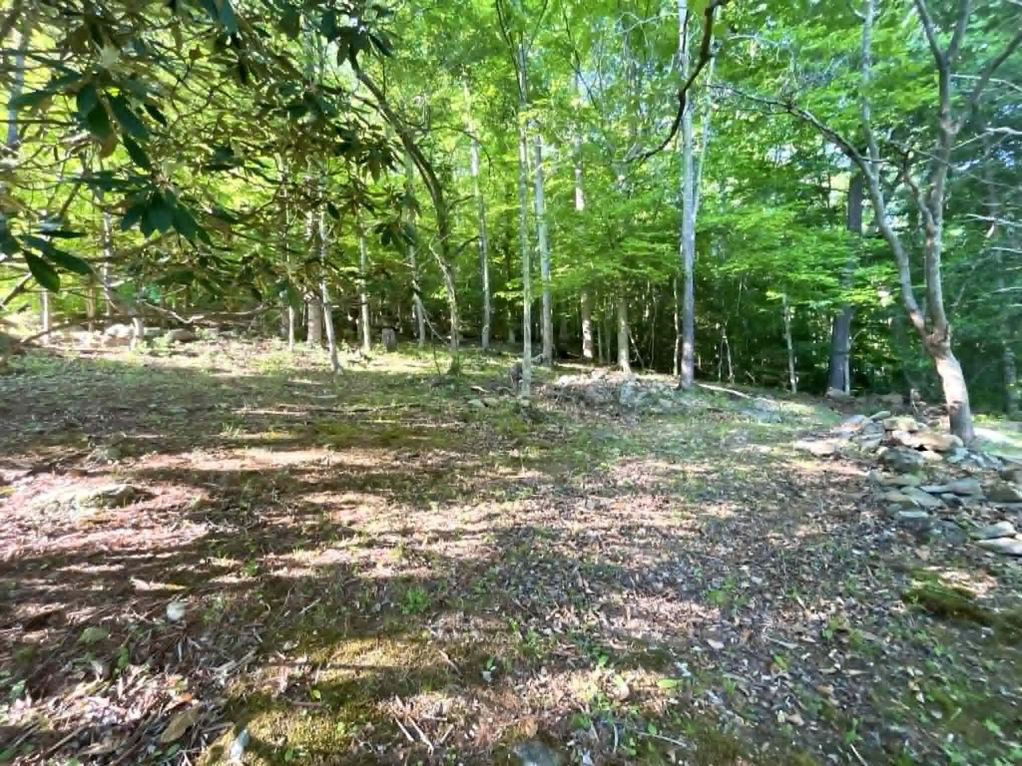 744 Woodland Hills Property Photo 60