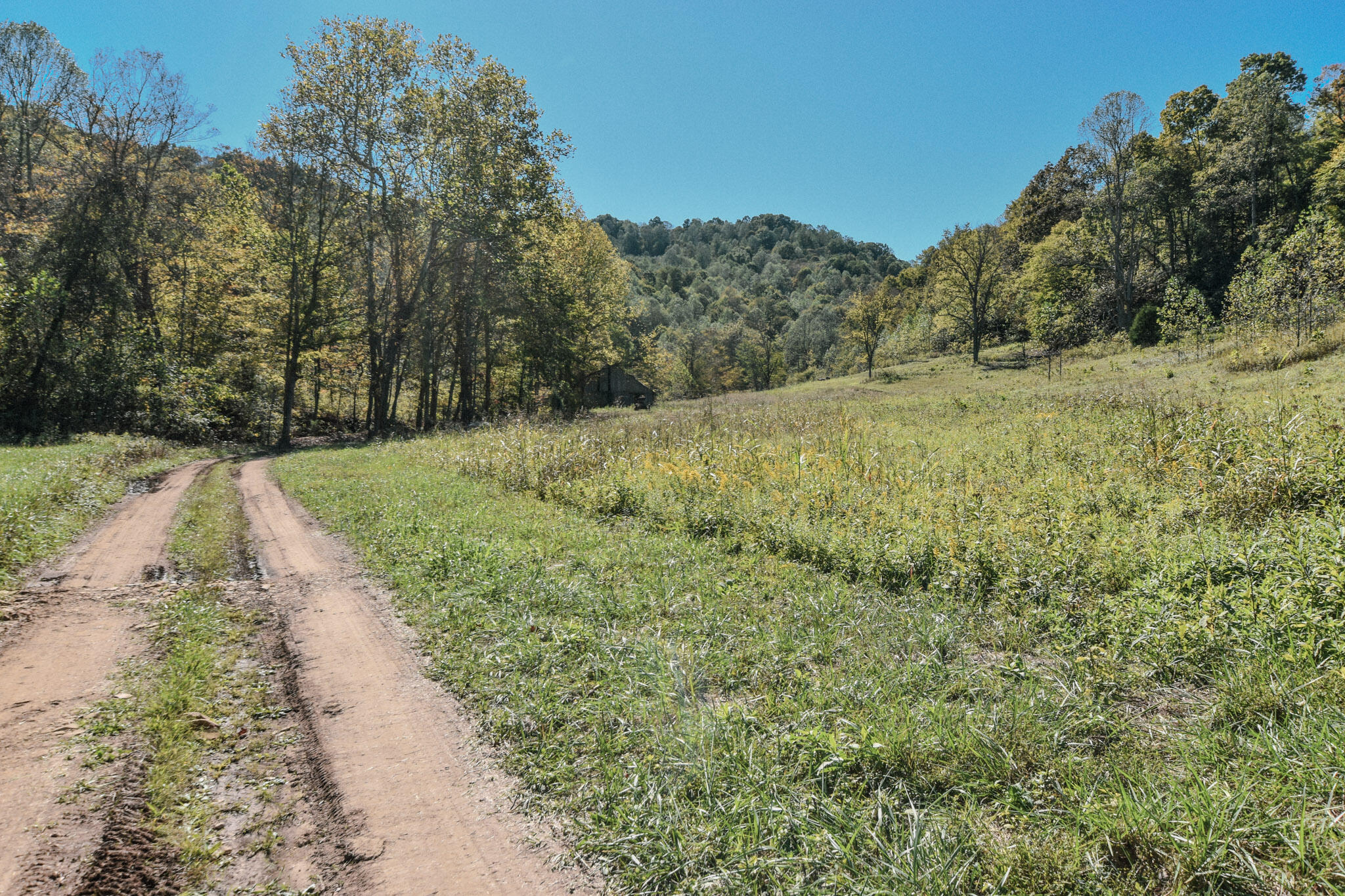 601 Hackworth Hollow Road Property Photo 1