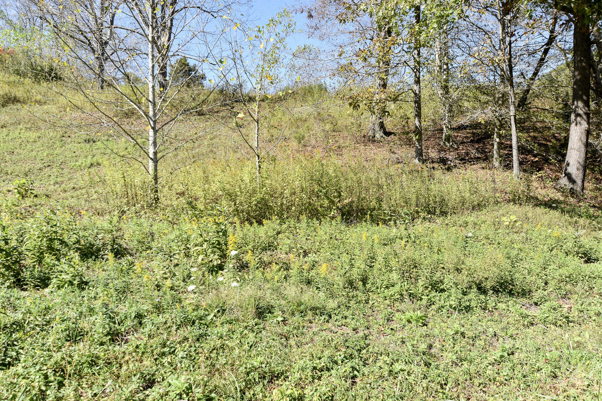 601 Hackworth Hollow Road Property Photo 2