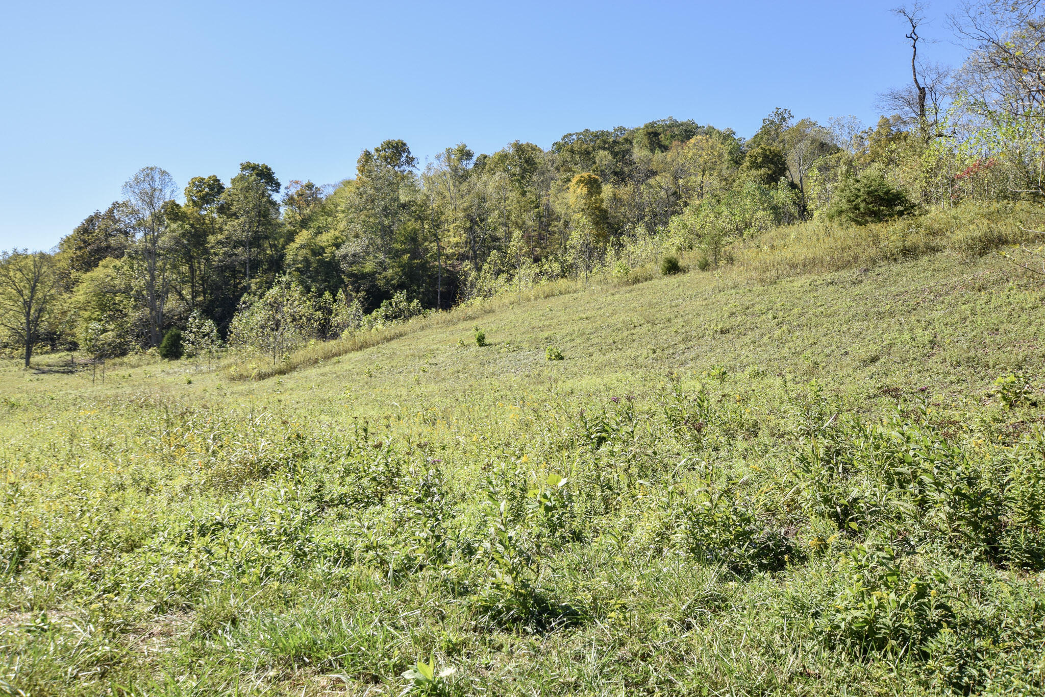 601 Hackworth Hollow Road Property Photo 3
