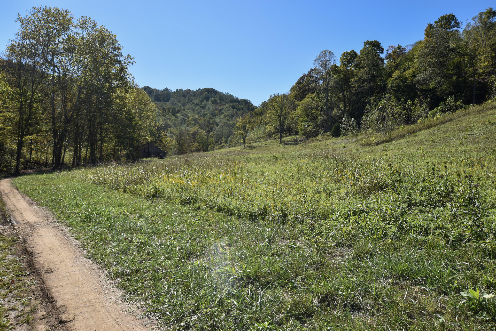 601 Hackworth Hollow Road Property Photo 4