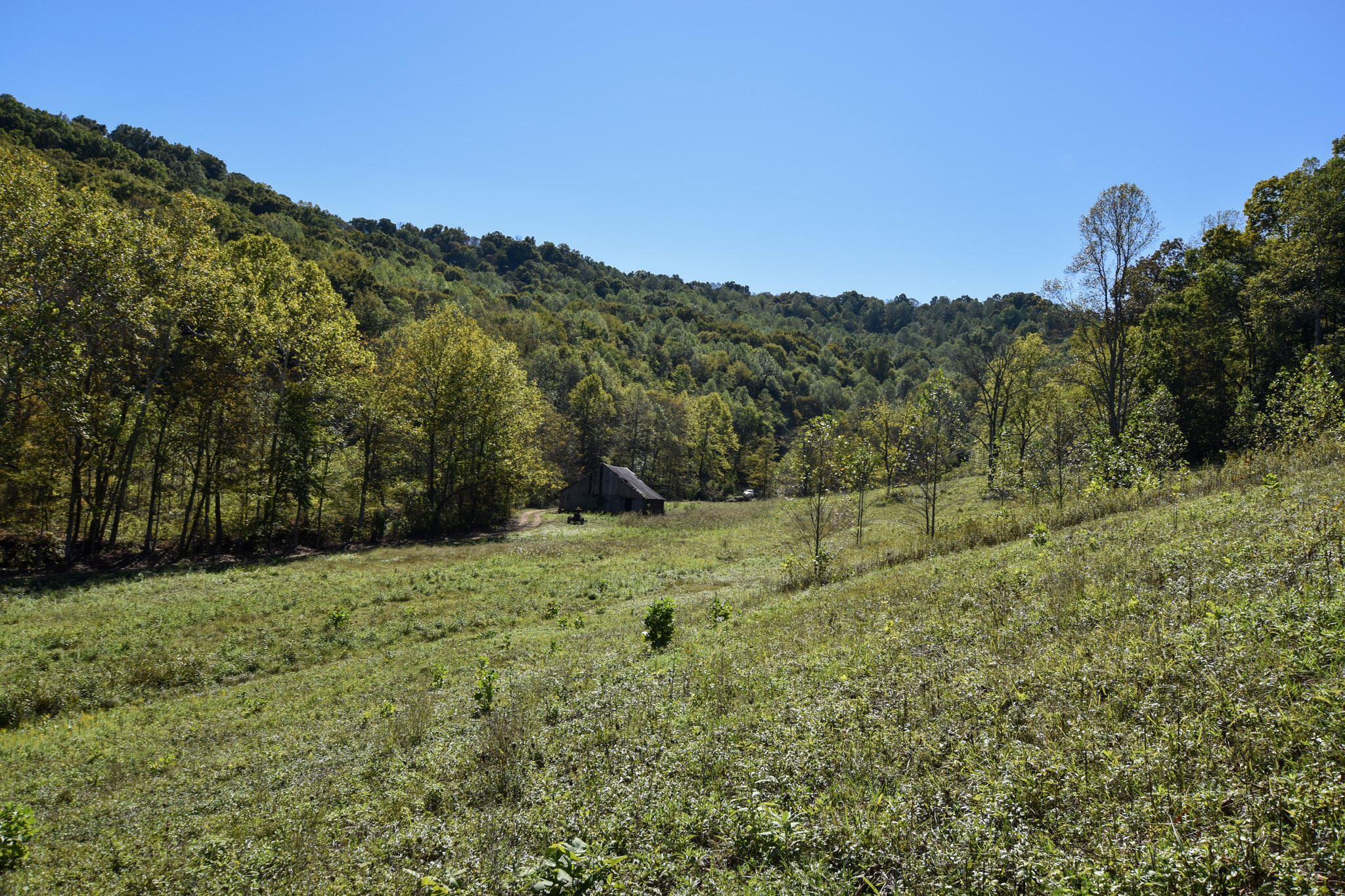 601 Hackworth Hollow Road Property Photo 6