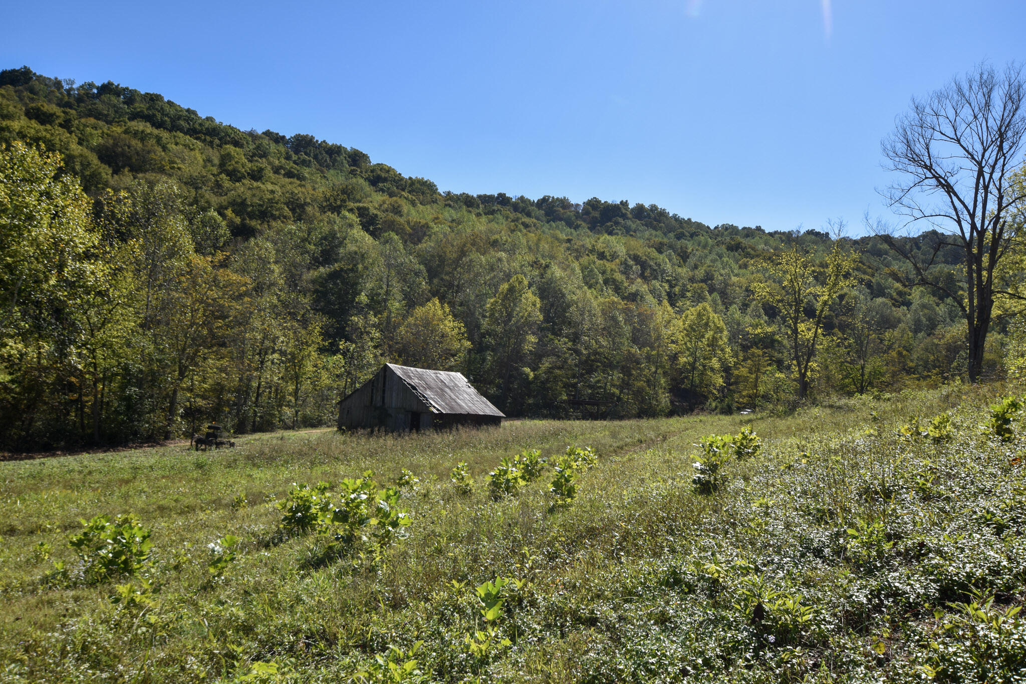 601 Hackworth Hollow Road Property Photo 10