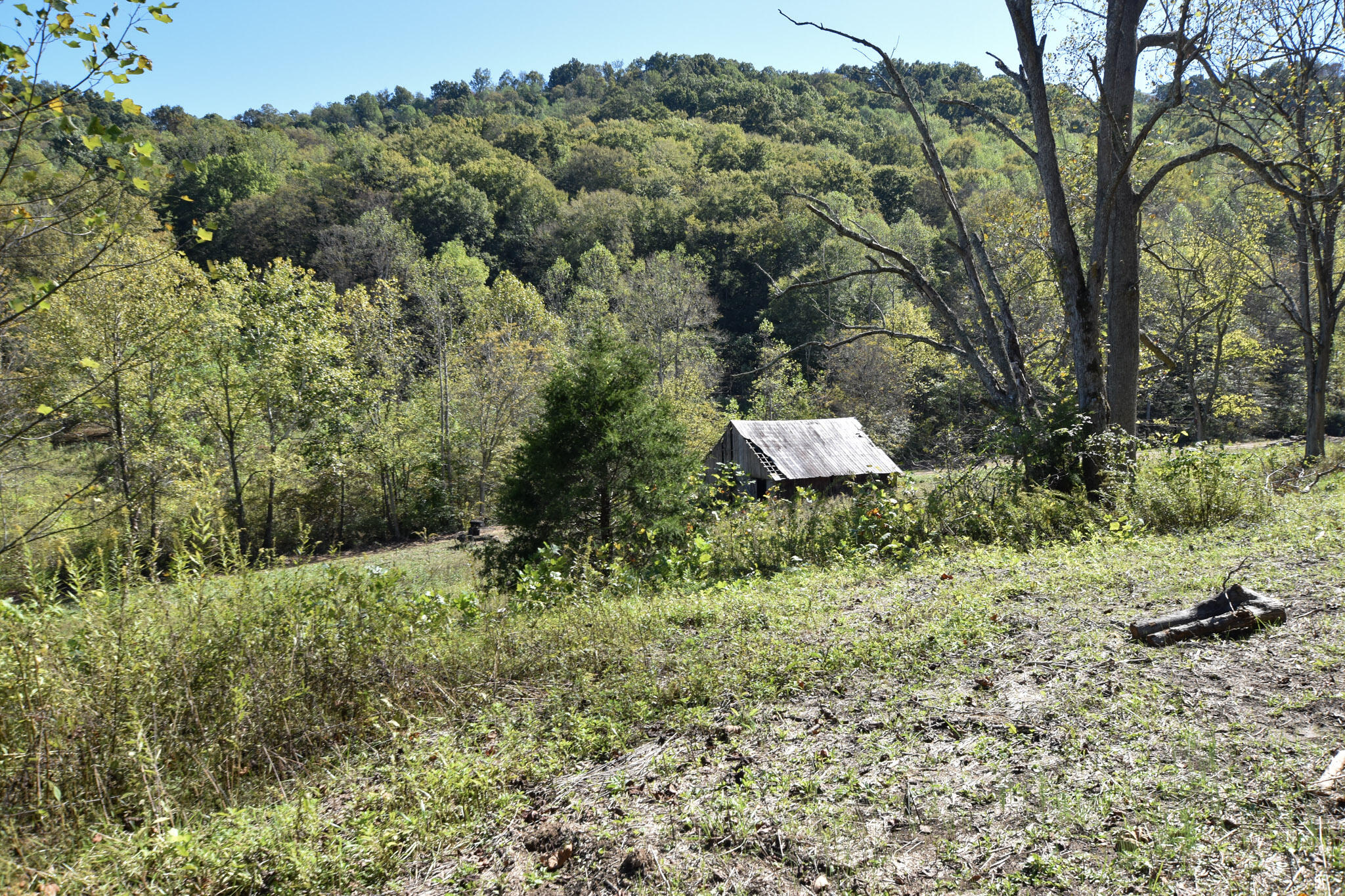 601 Hackworth Hollow Road Property Photo 11