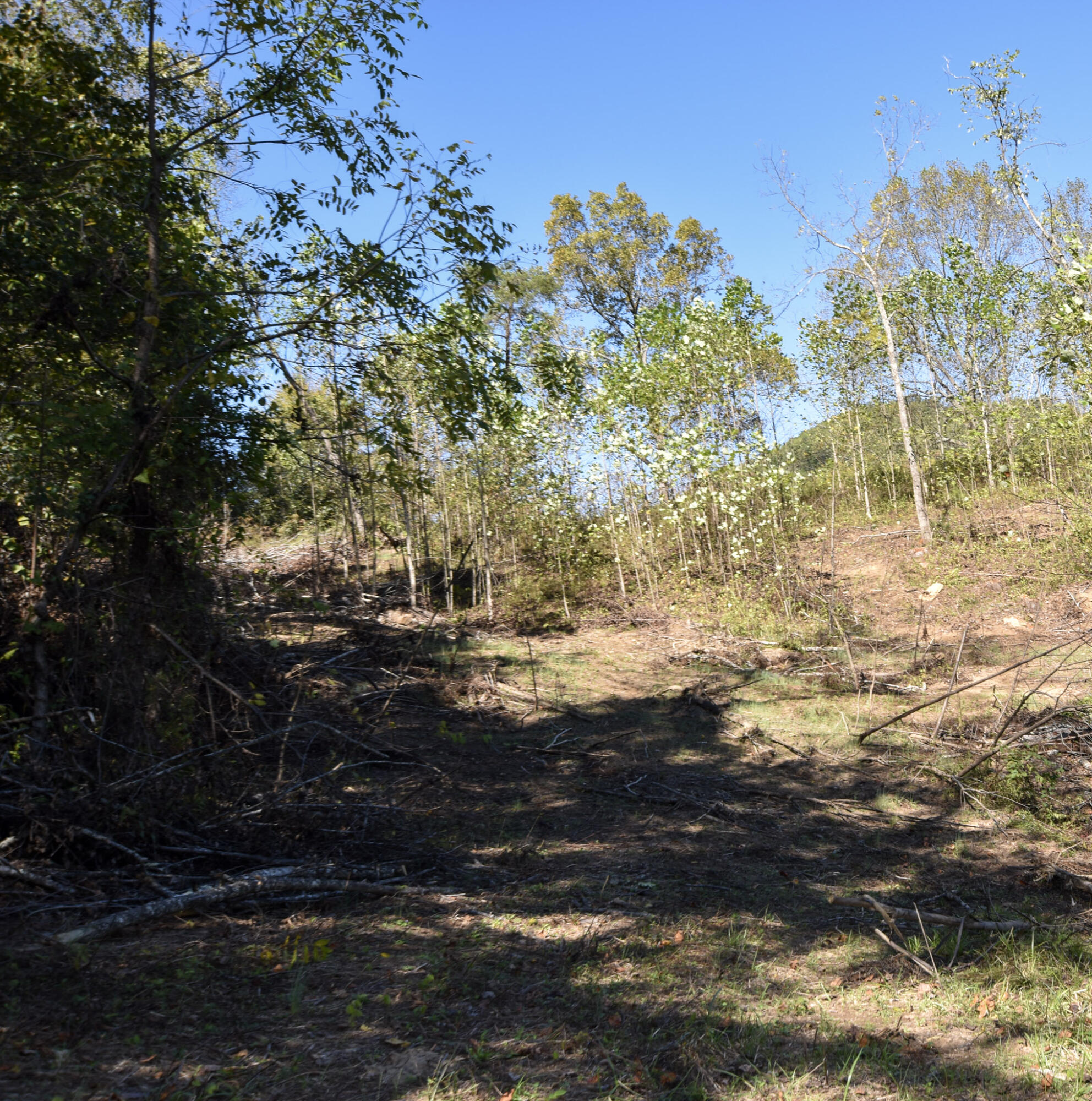 601 Hackworth Hollow Road Property Photo 12