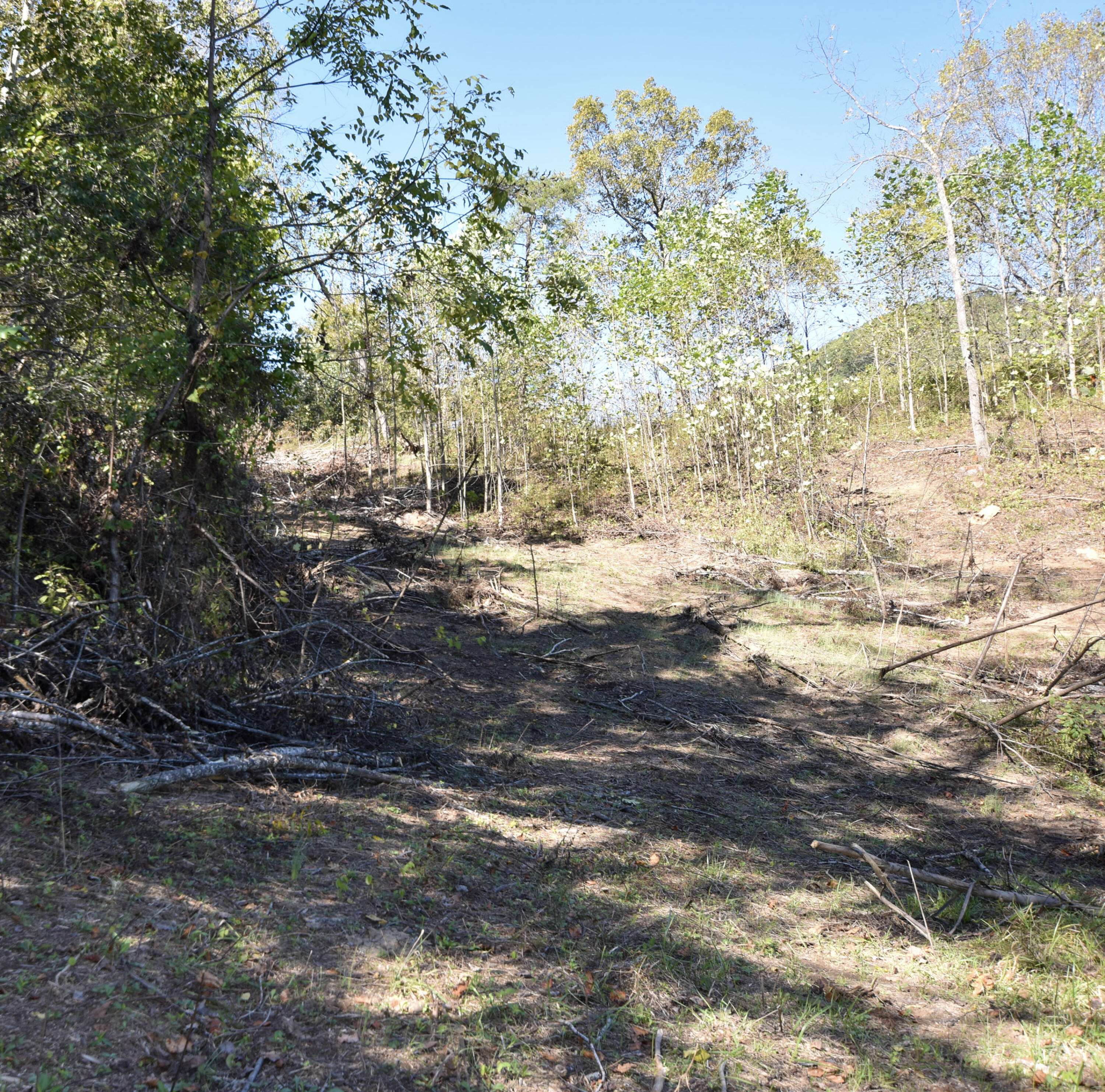 601 Hackworth Hollow Road Property Photo 13