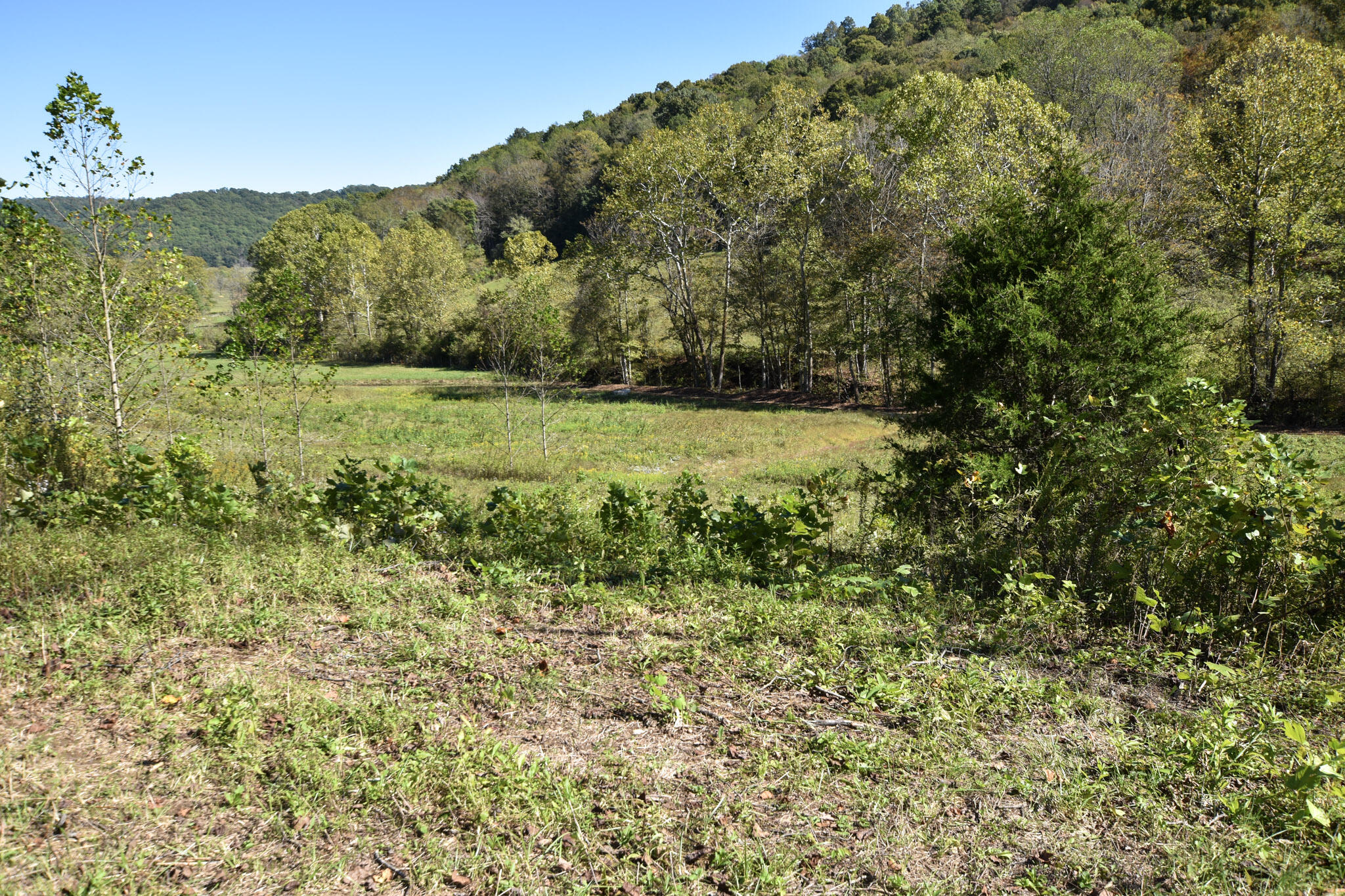 601 Hackworth Hollow Road Property Photo 14