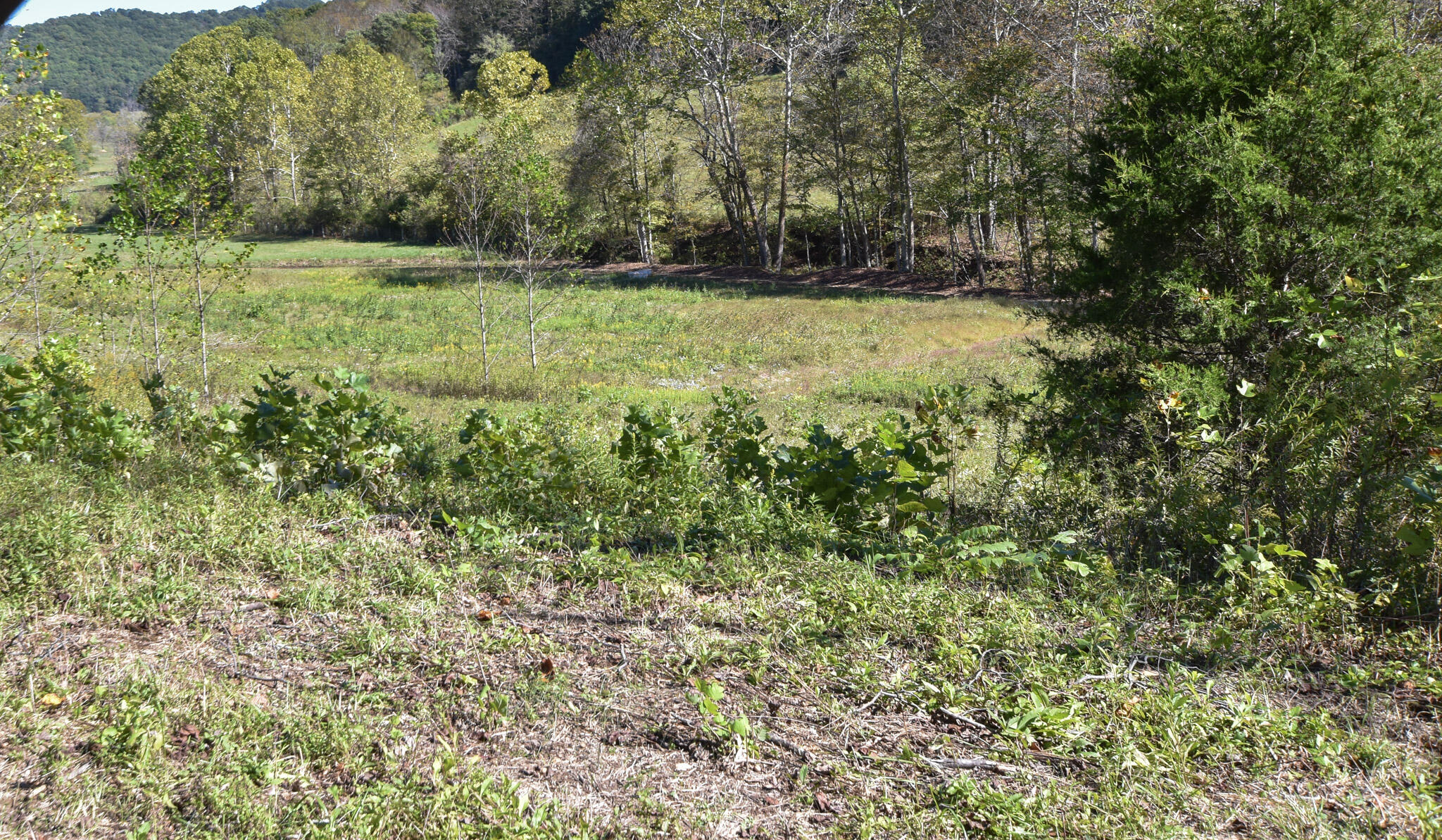 601 Hackworth Hollow Road Property Photo 15