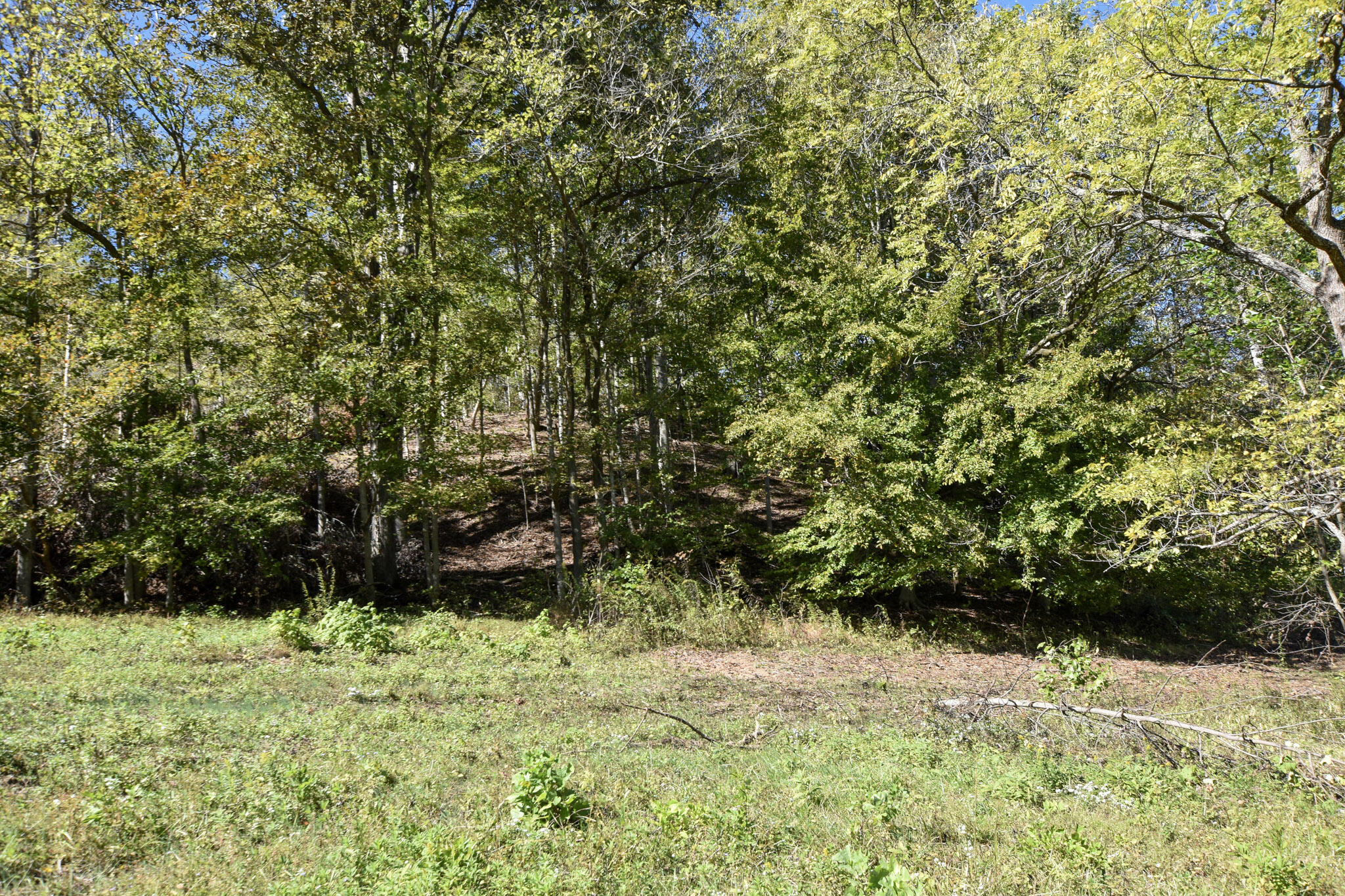 601 Hackworth Hollow Road Property Photo 16