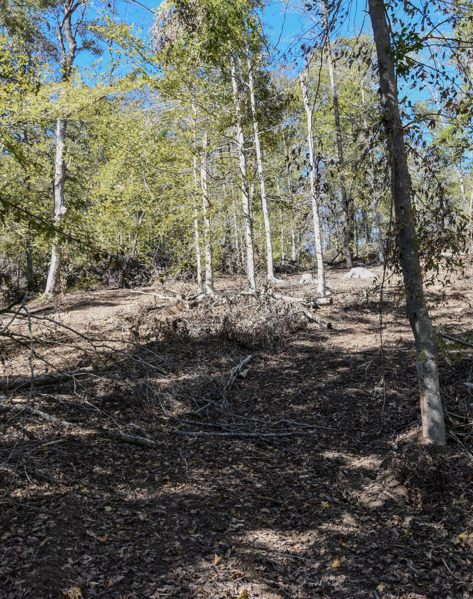 601 Hackworth Hollow Road Property Photo 20