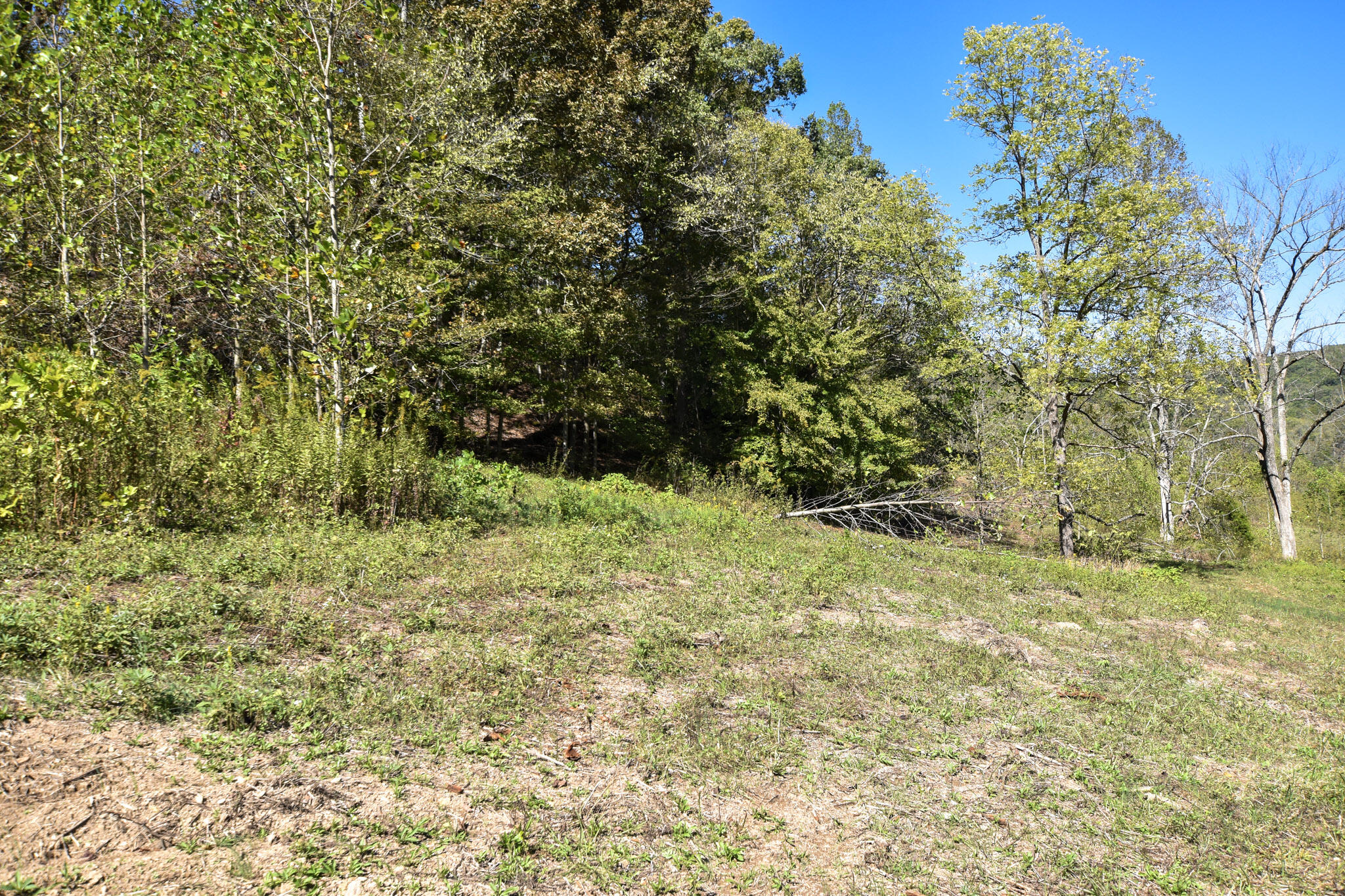 601 Hackworth Hollow Road Property Photo 21