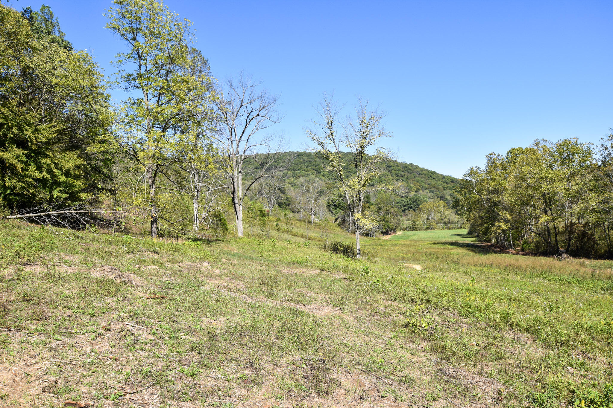 601 Hackworth Hollow Road Property Photo 22