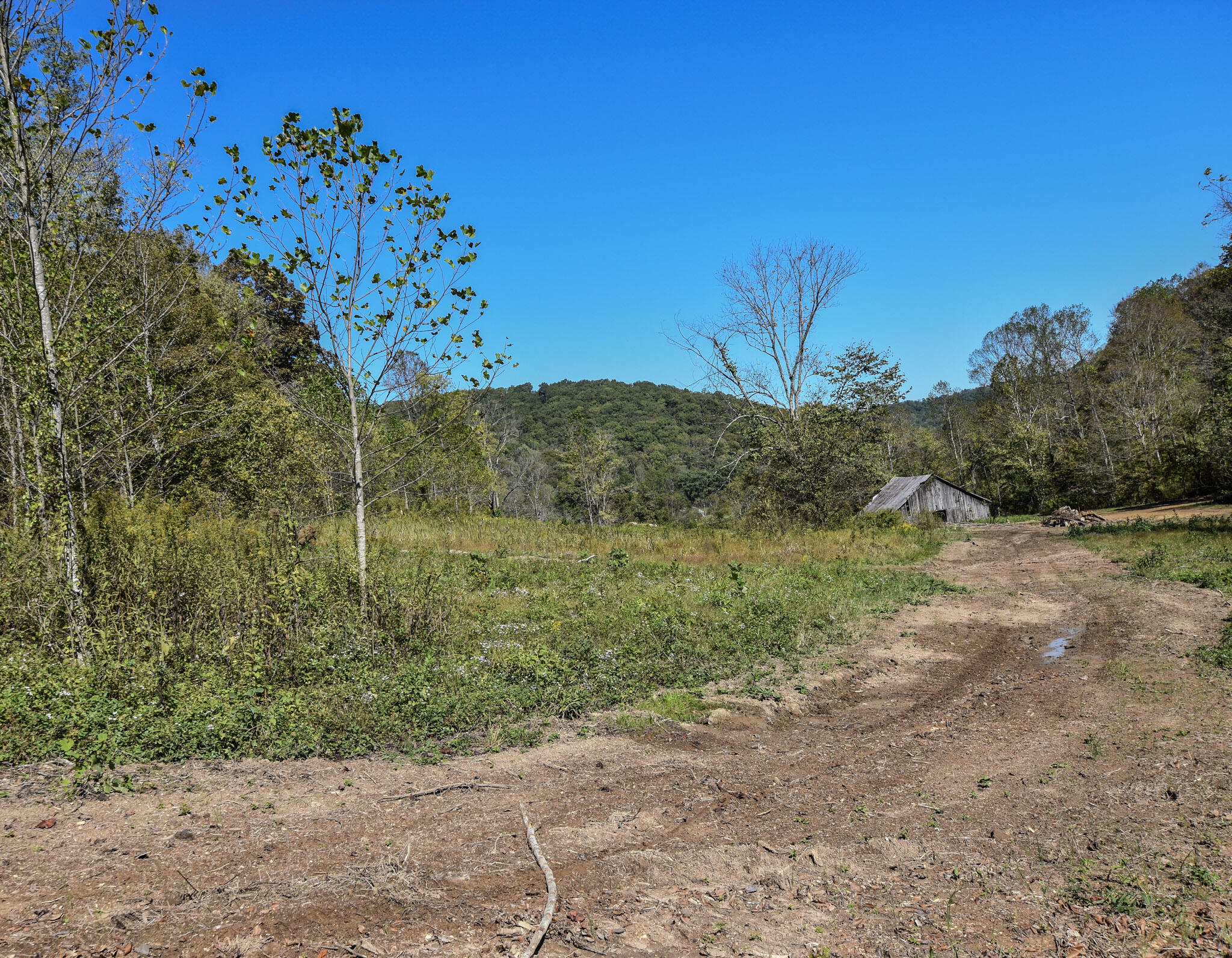 601 Hackworth Hollow Road Property Photo 23