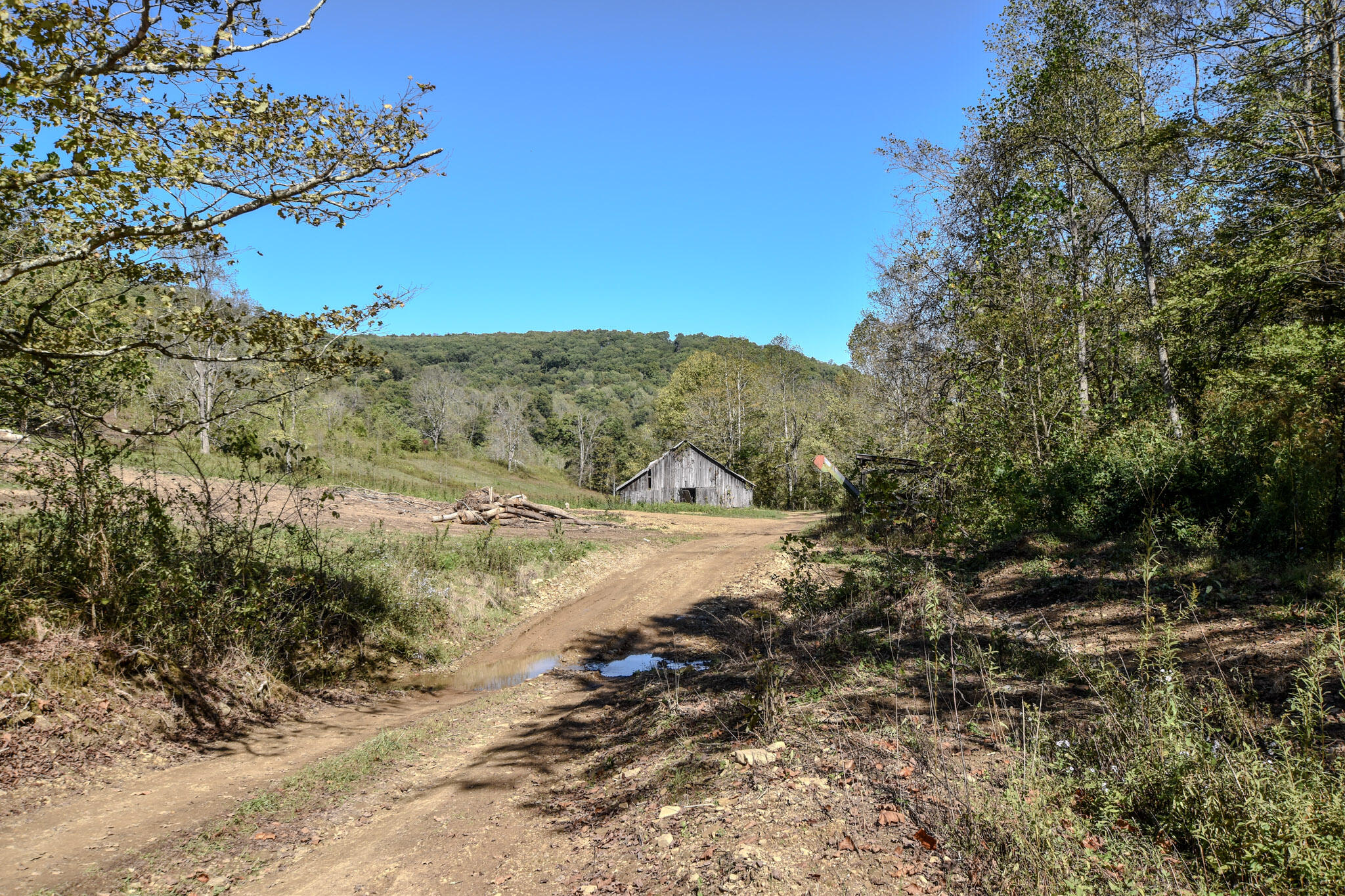 601 Hackworth Hollow Road Property Photo 25