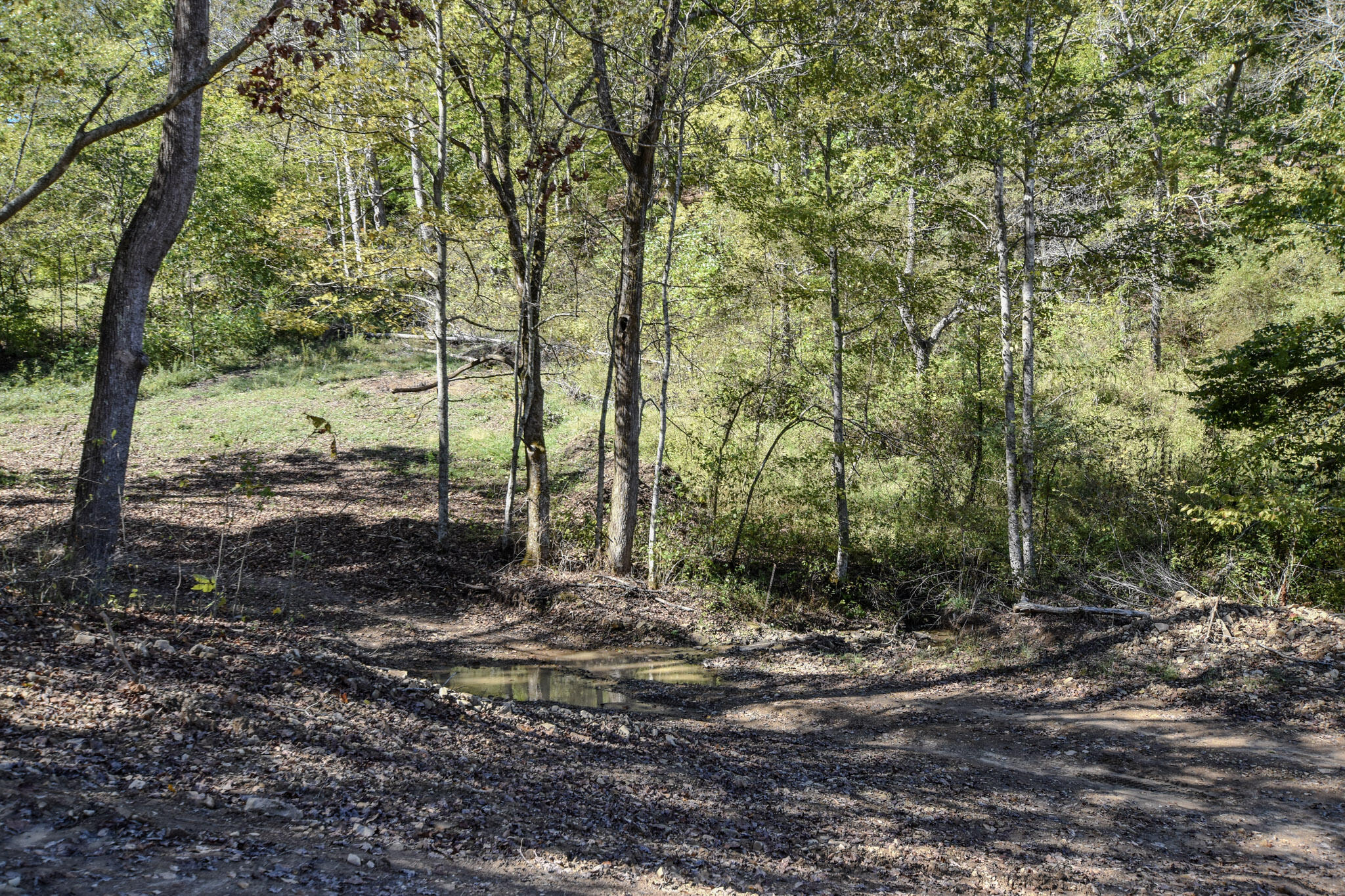 601 Hackworth Hollow Road Property Photo 27
