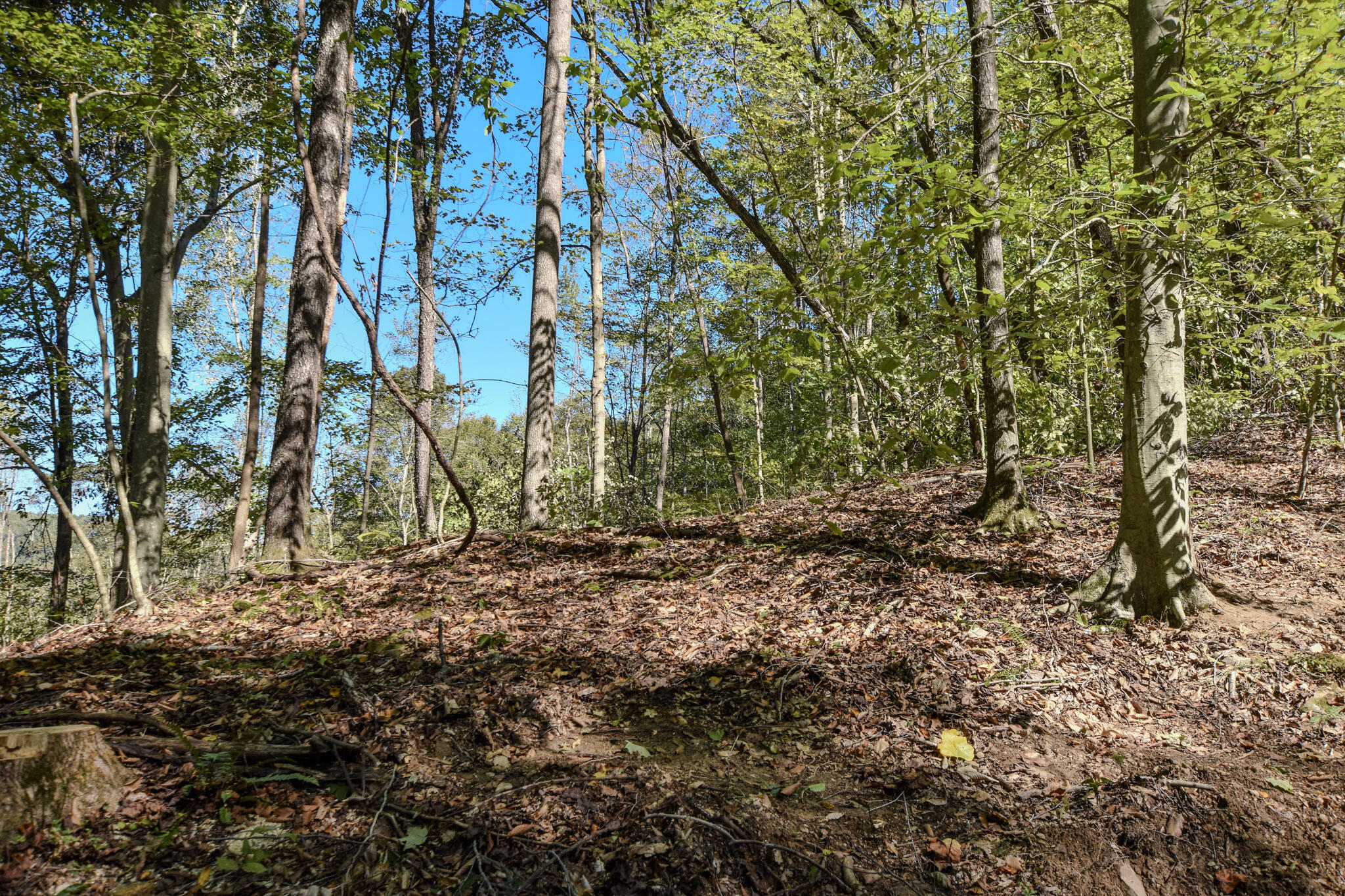 601 Hackworth Hollow Road Property Photo 32