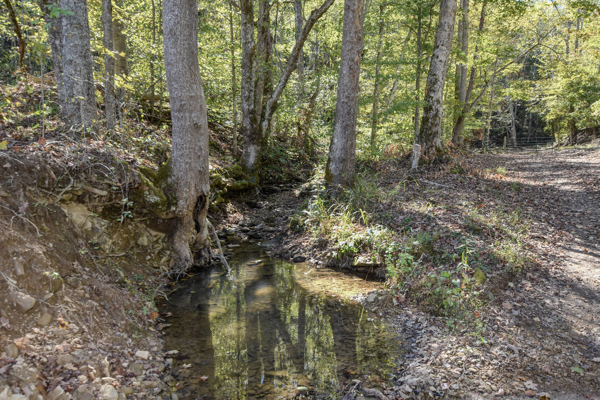601 Hackworth Hollow Road Property Photo 34