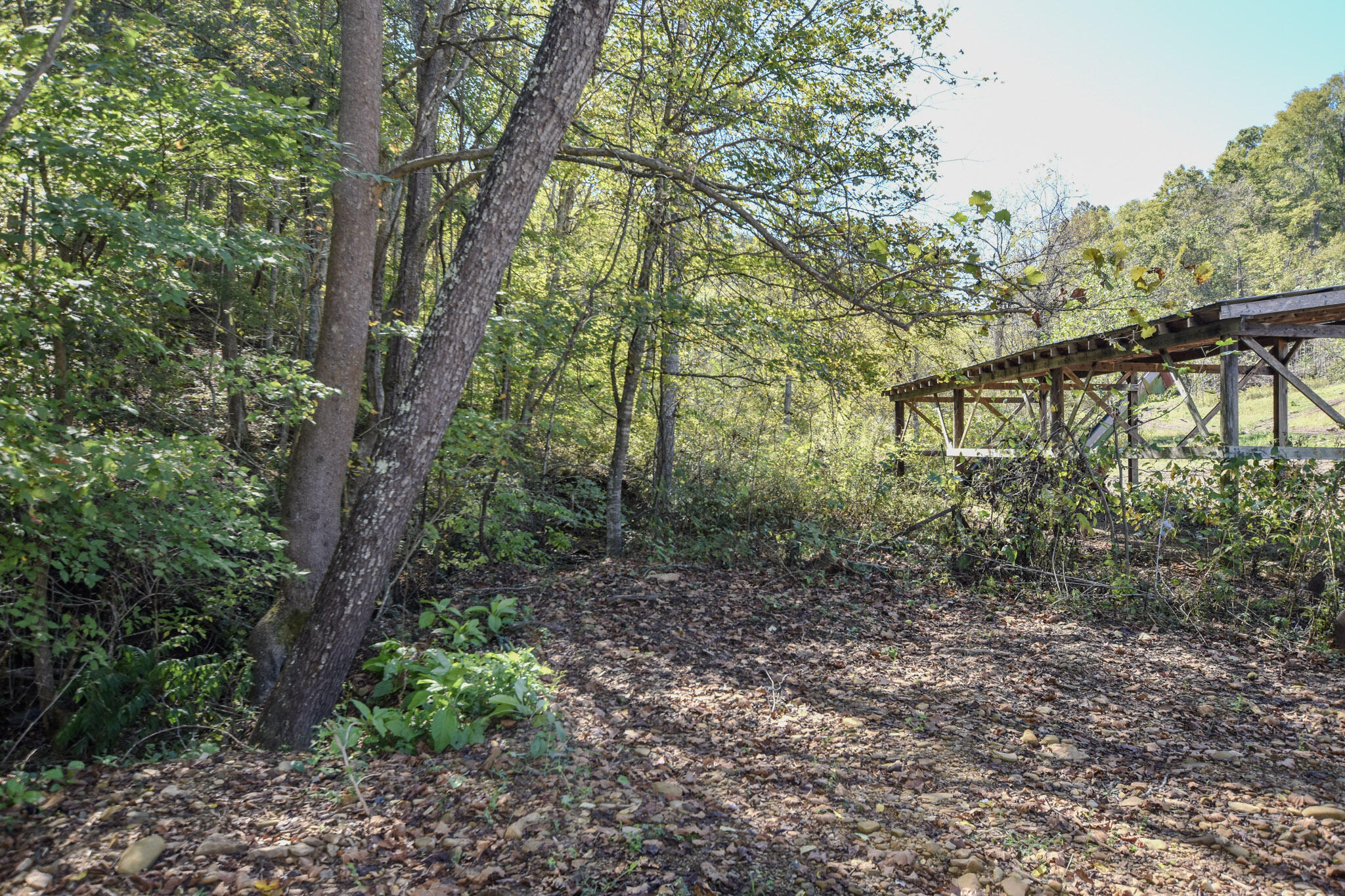 601 Hackworth Hollow Road Property Photo 35