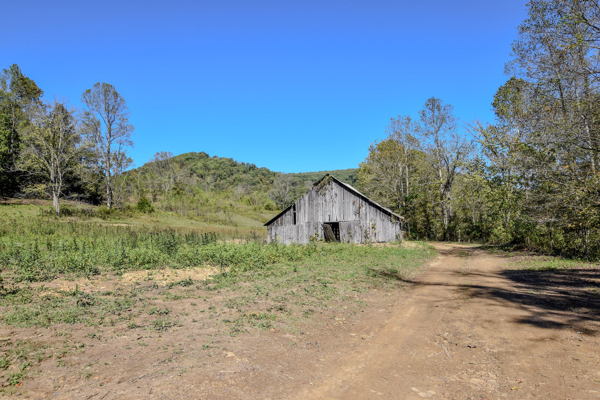601 Hackworth Hollow Road Property Photo 37