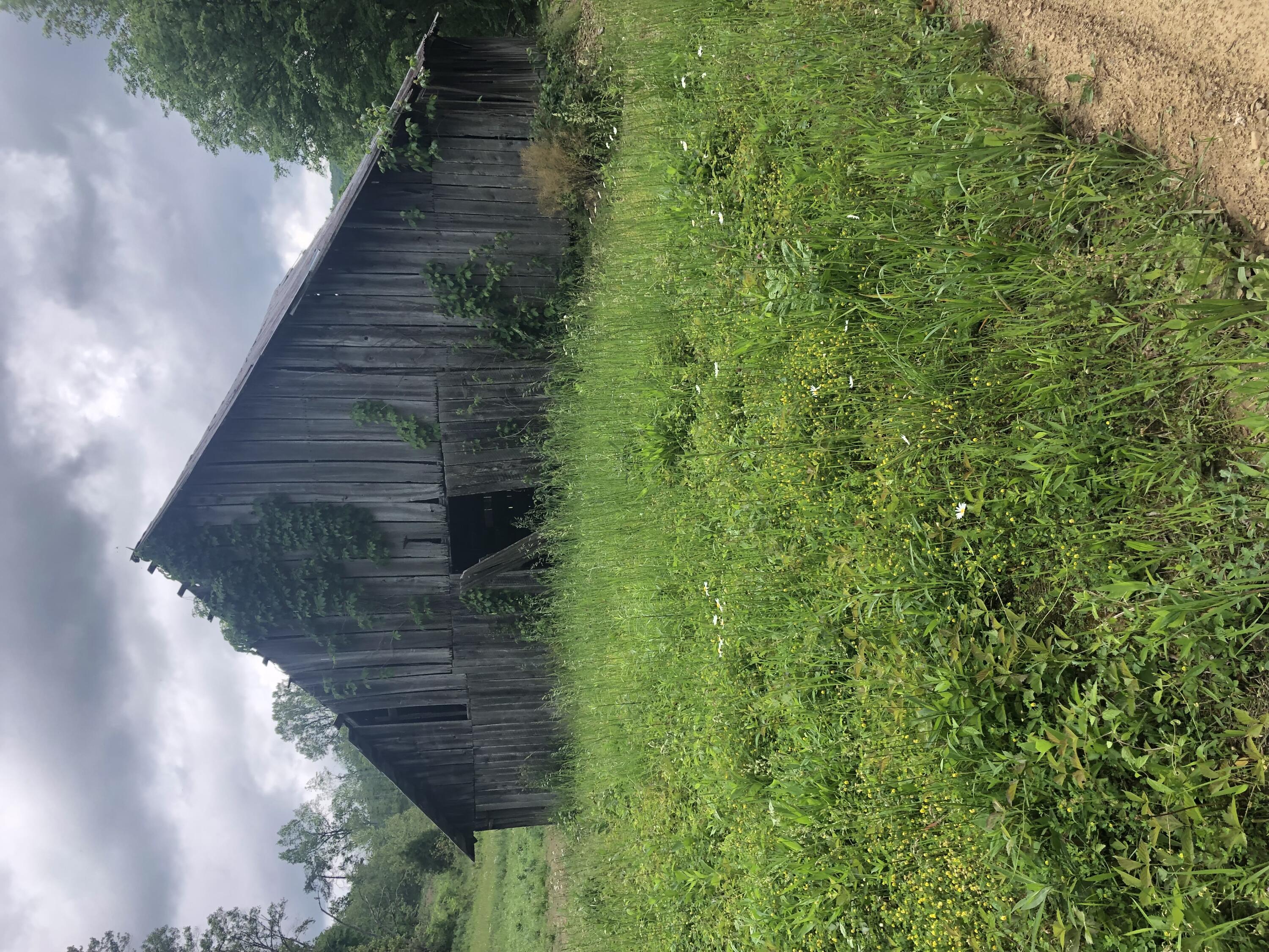 601 Hackworth Hollow Road Property Photo 44