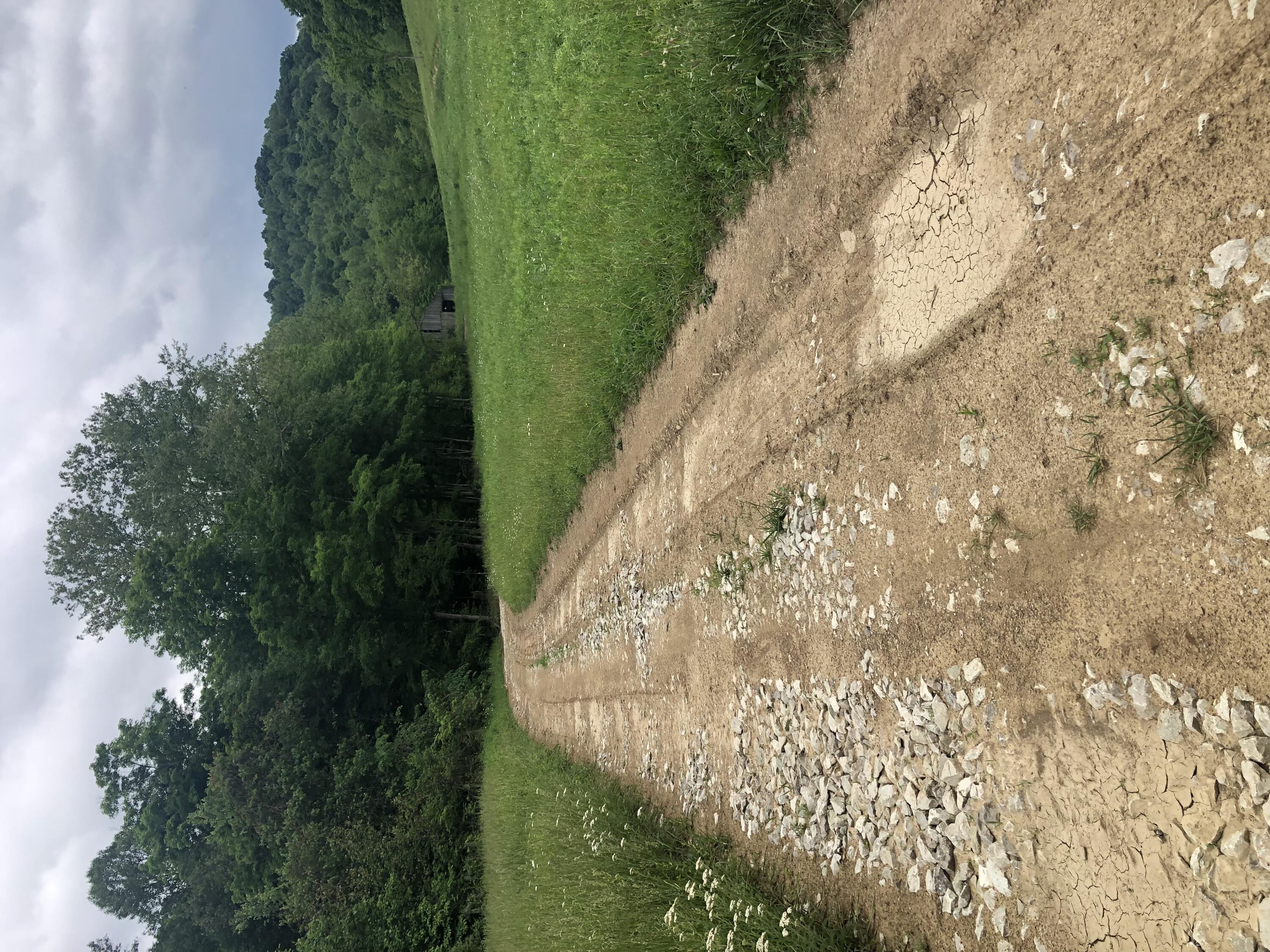 601 Hackworth Hollow Road Property Photo 46