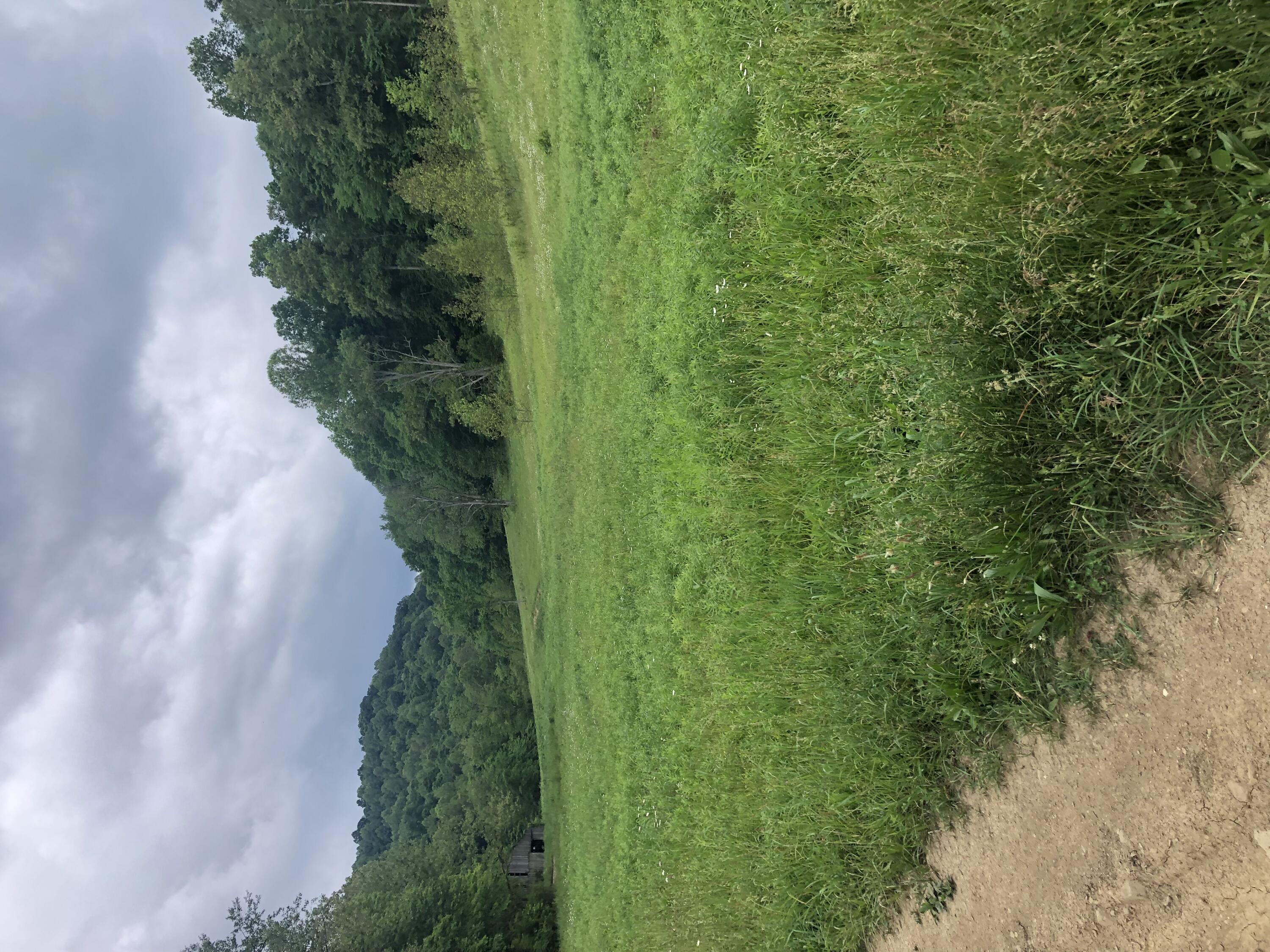 601 Hackworth Hollow Road Property Photo 47