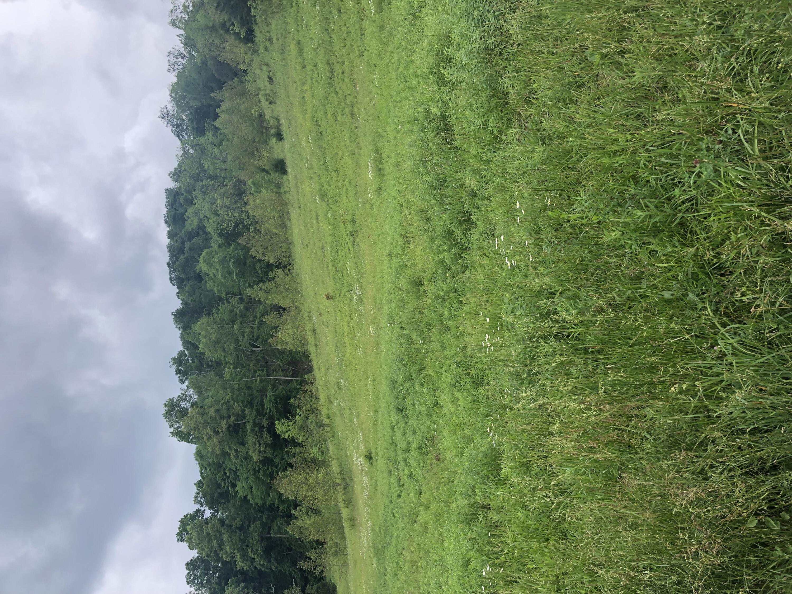 601 Hackworth Hollow Road Property Photo 48