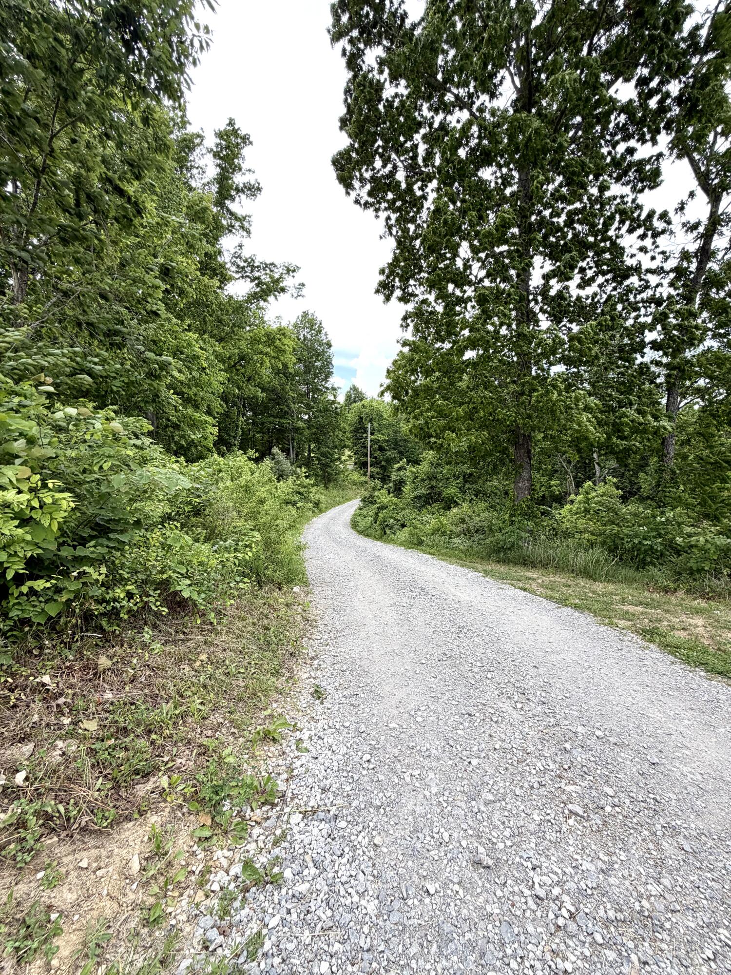 1050 Burgin Road Property Photo 4