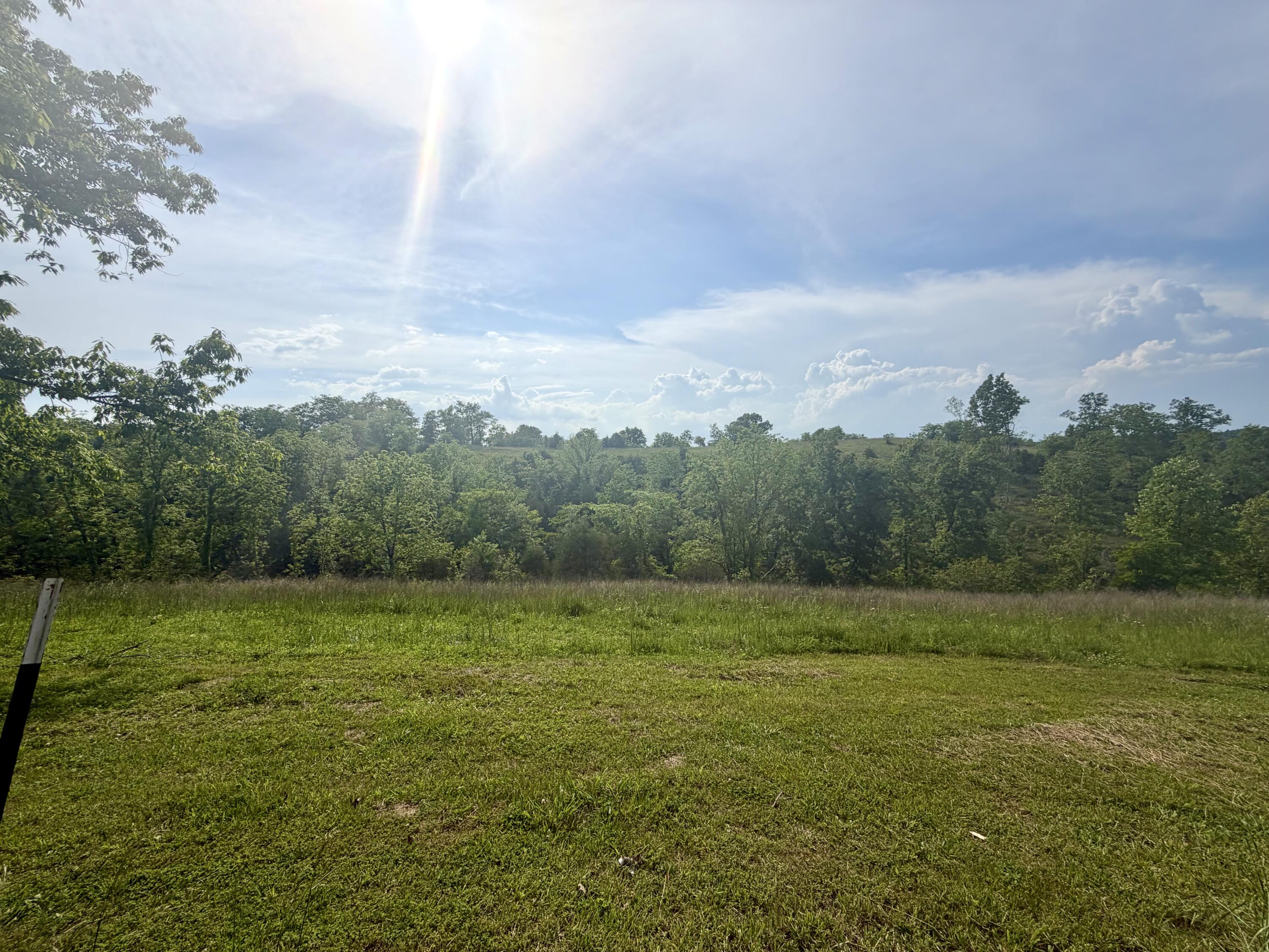1050 Burgin Road Property Photo 8