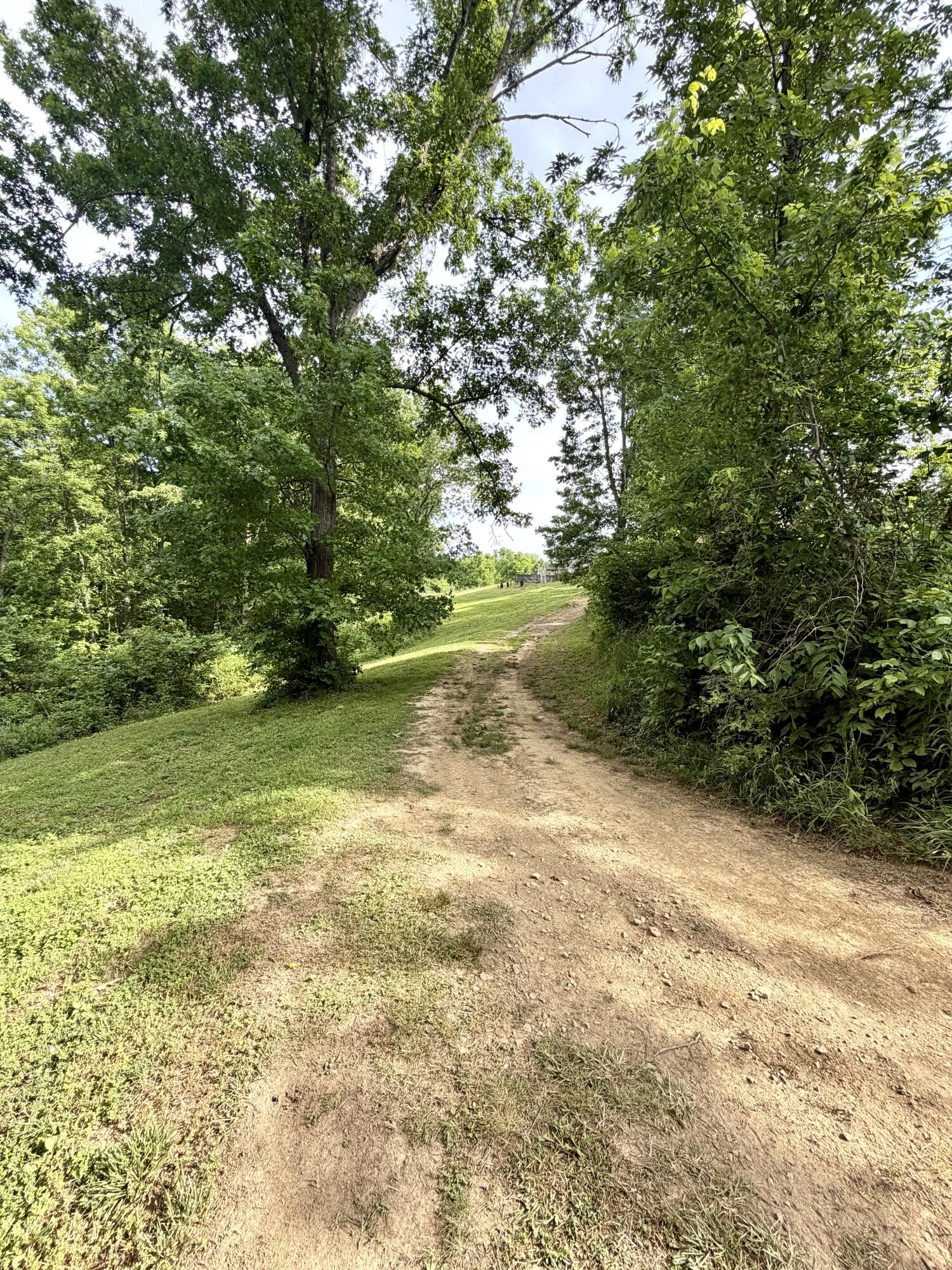 1050 Burgin Road Property Photo 9