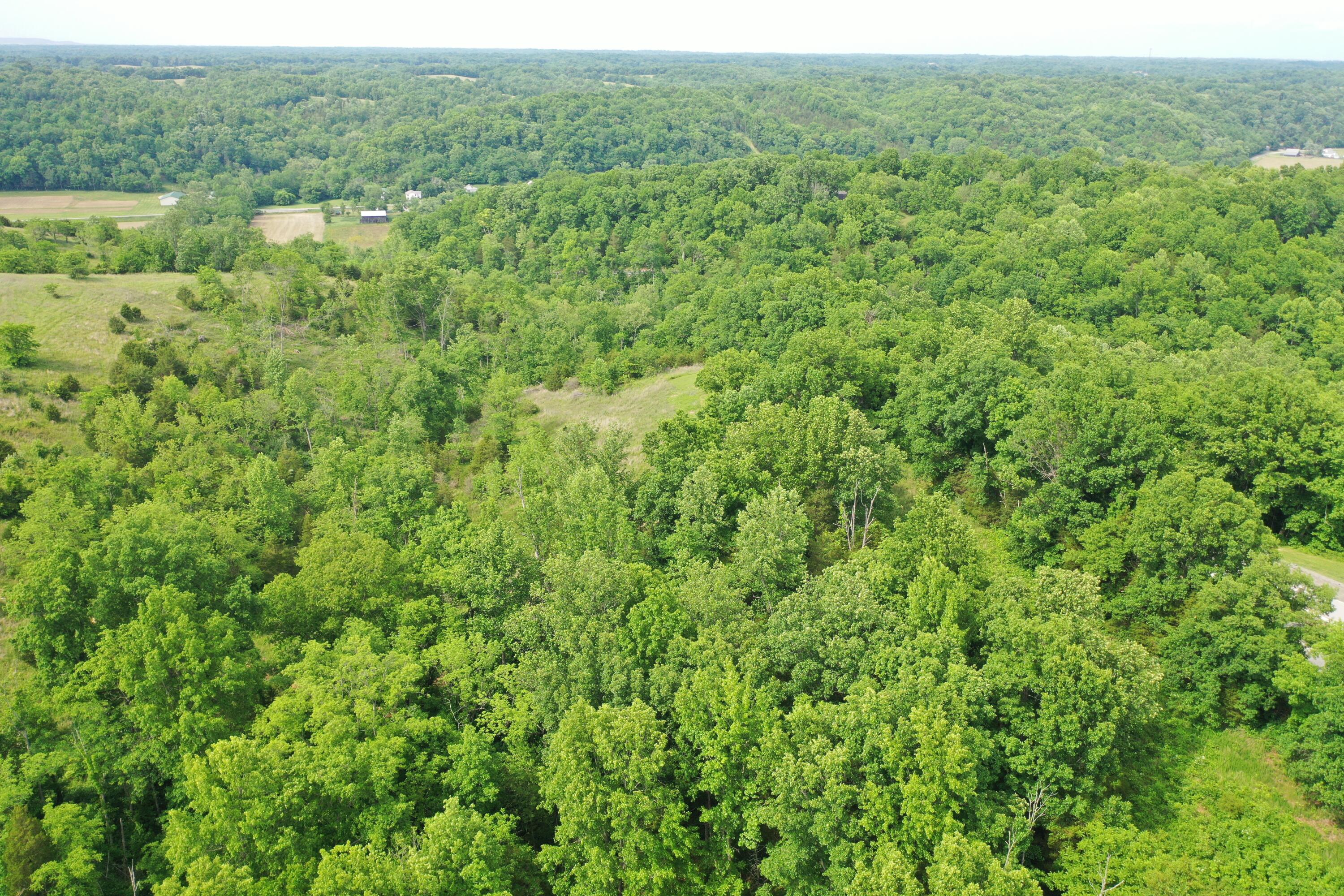 1050 Burgin Road Property Photo 37