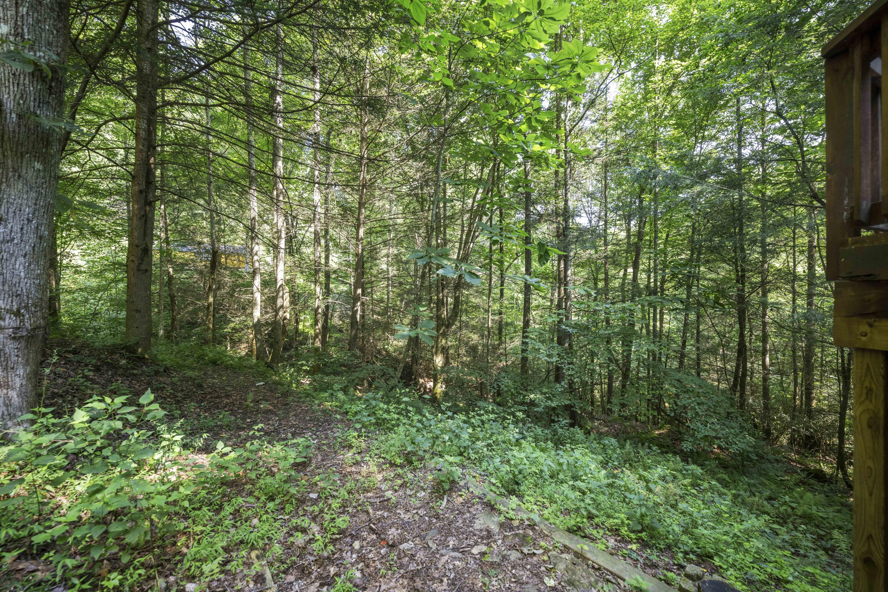 3556 Right Fork Fixer Road Property Photo 5
