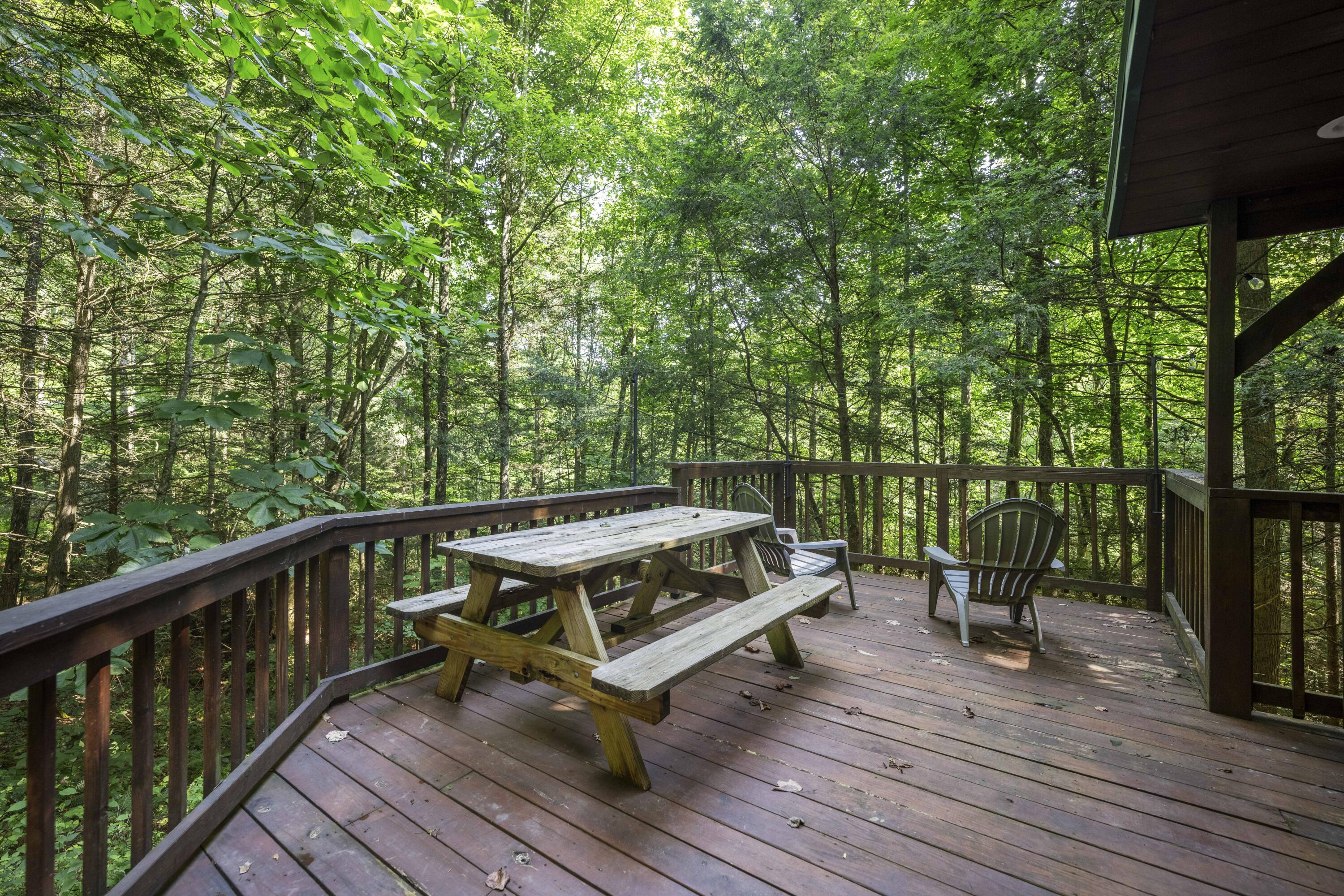 3556 Right Fork Fixer Road Property Photo 6