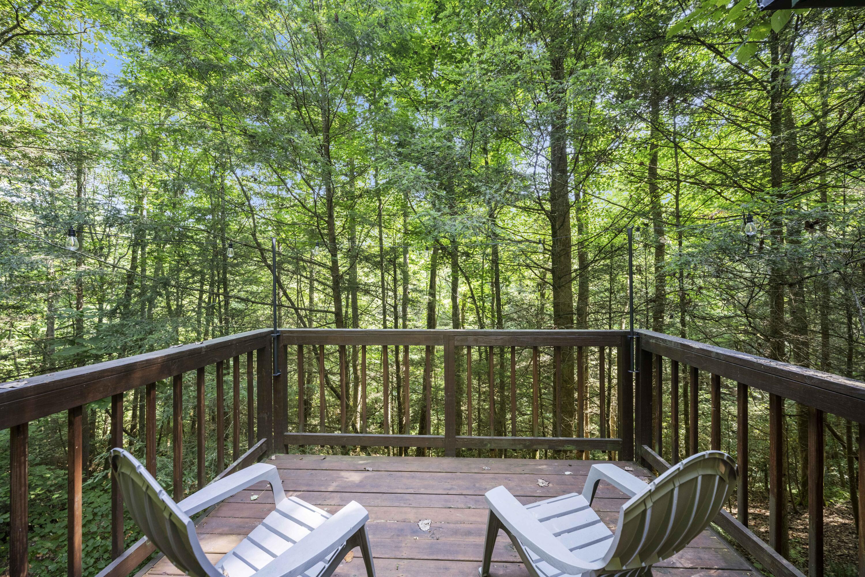 3556 Right Fork Fixer Road Property Photo 8