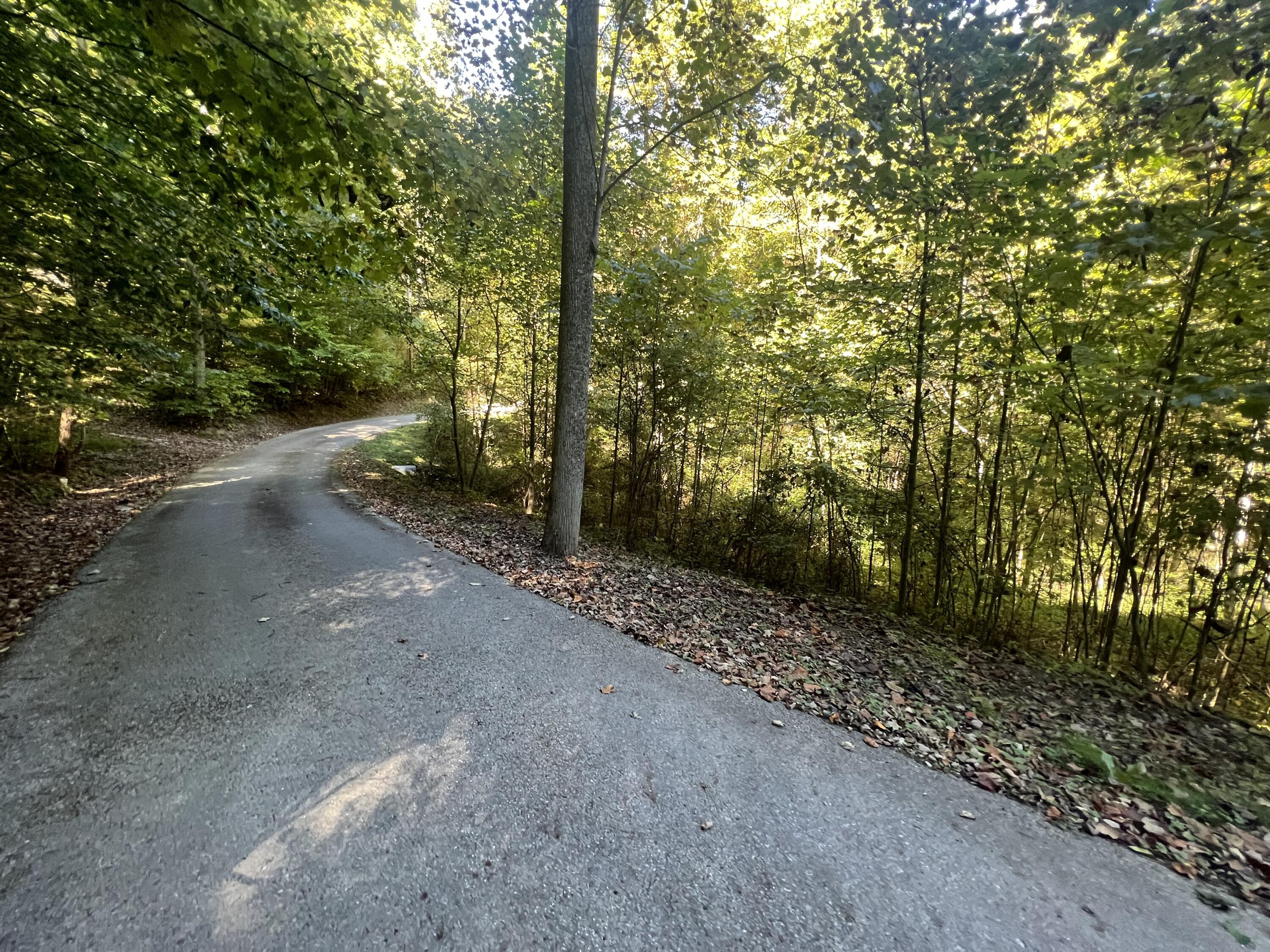 Lot 15 Red River Valley Property Photo 6
