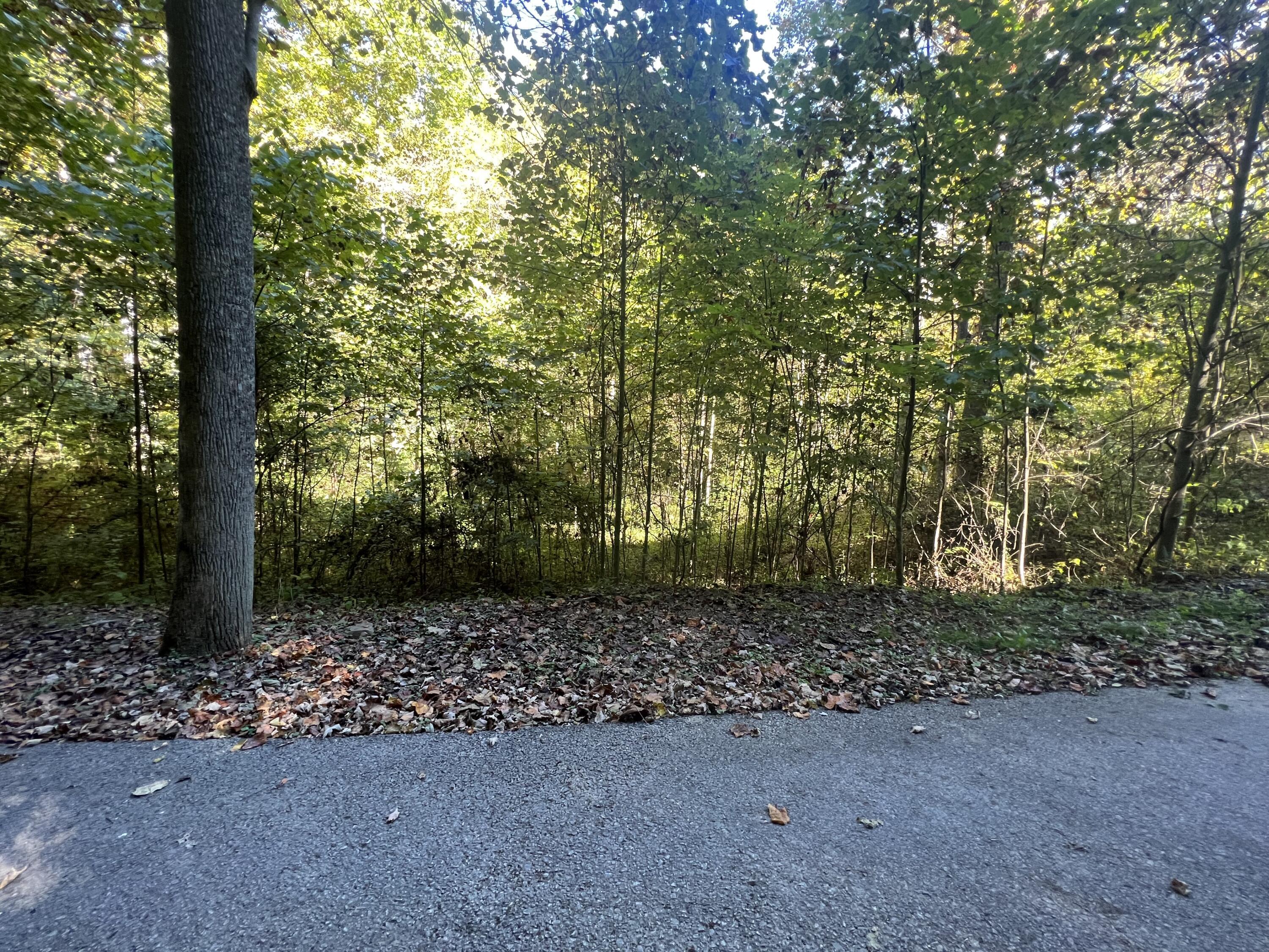 Lot 15 Red River Valley Property Photo 7