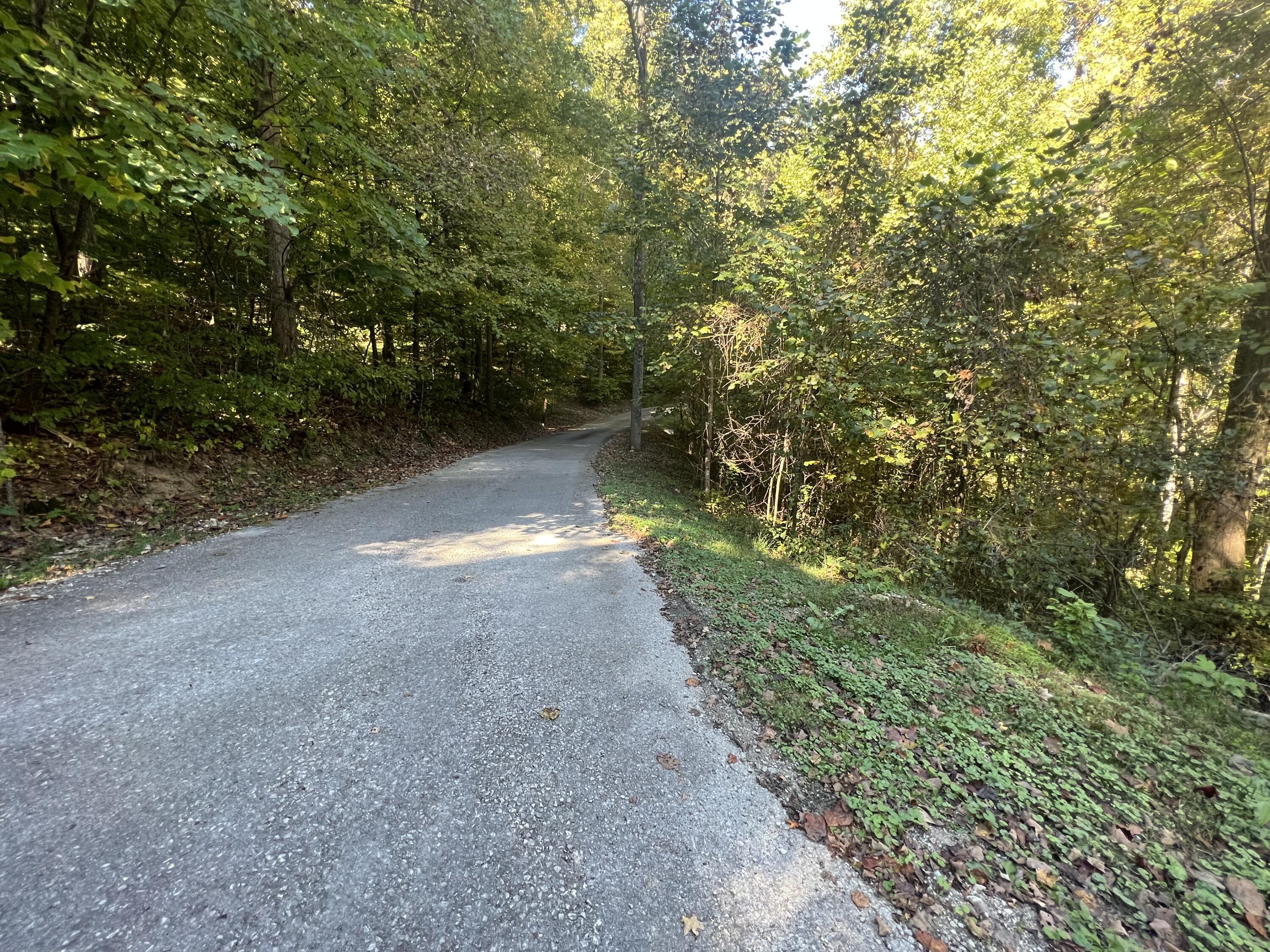Lot 15 Red River Valley Property Photo 10