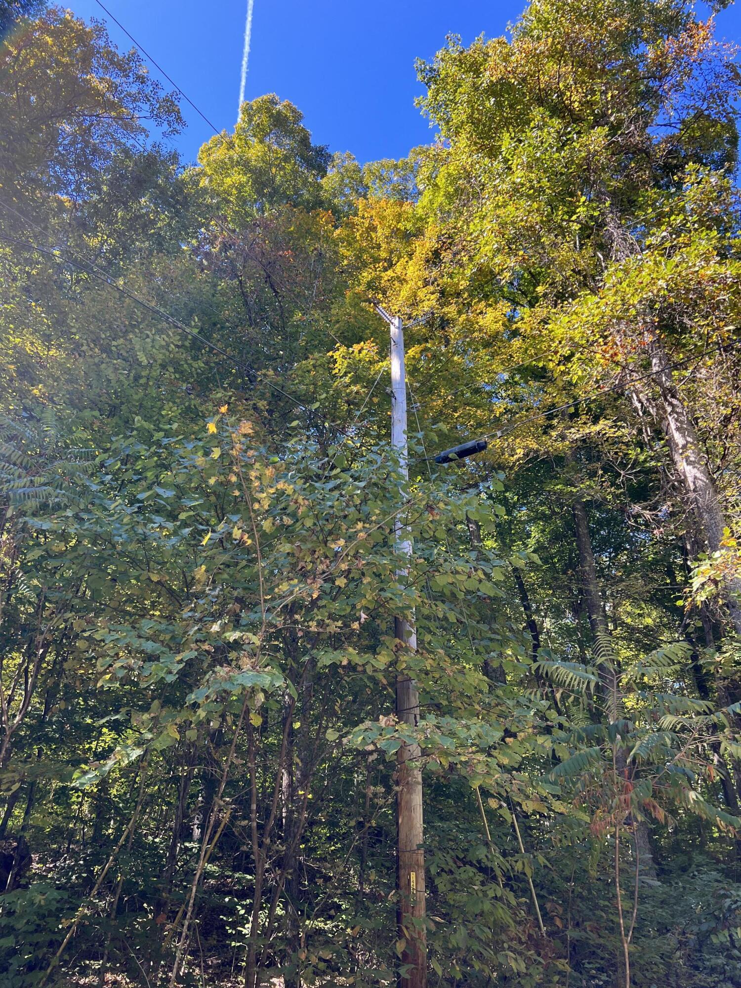 Lot 15 Red River Valley Property Photo 11