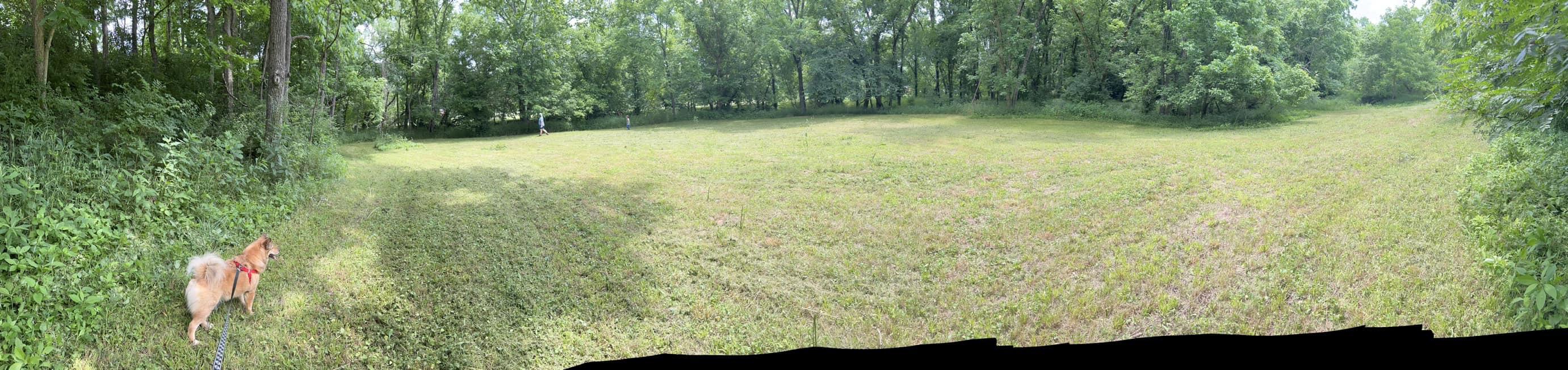 4390 Cincinnati Pike Property Photo 19